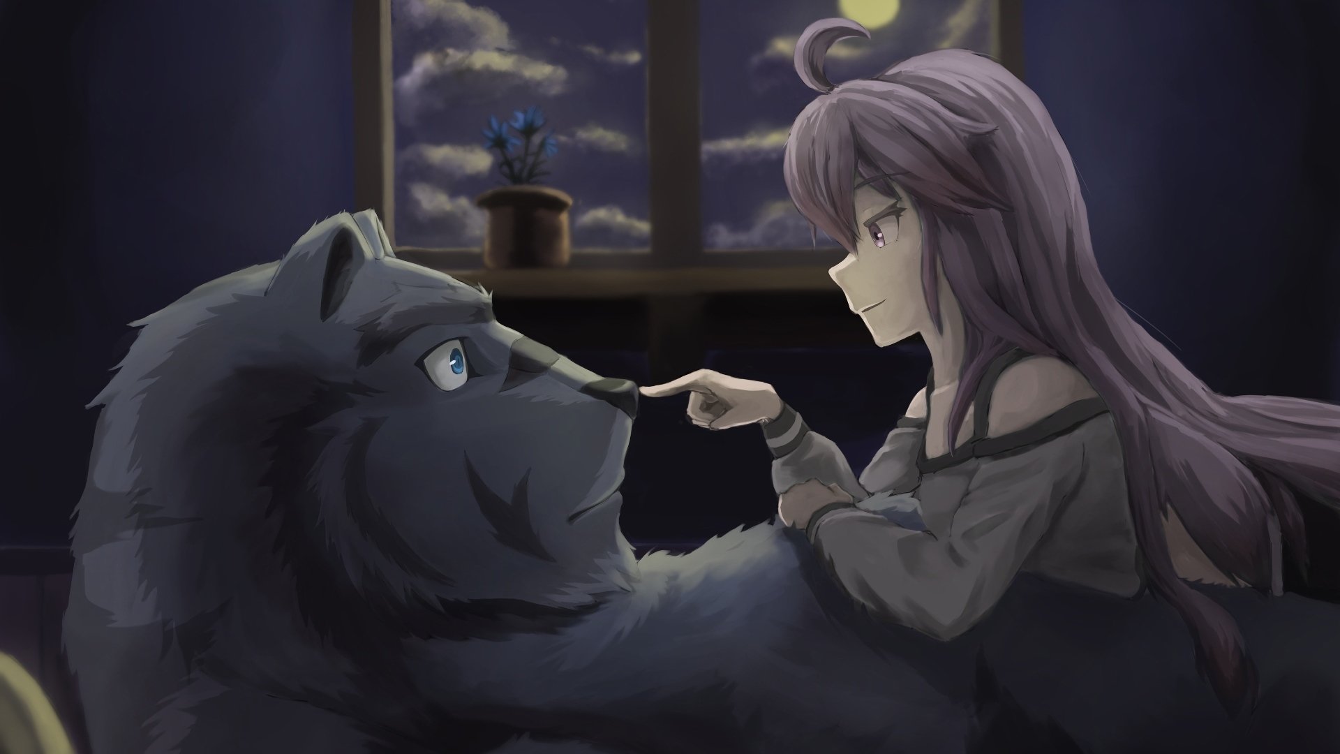 动漫,从零开始的魔法书