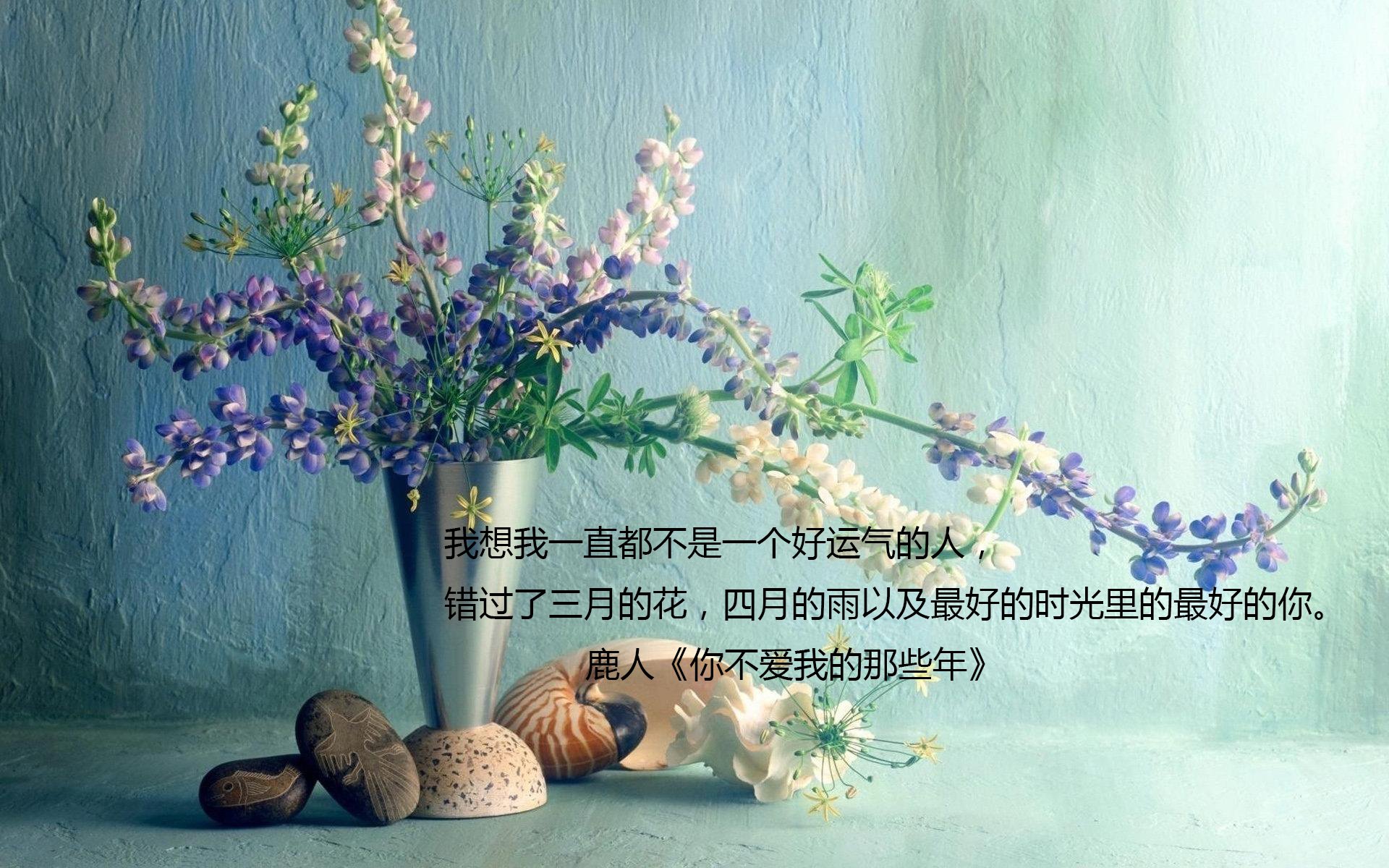 文字,语录,鹿人