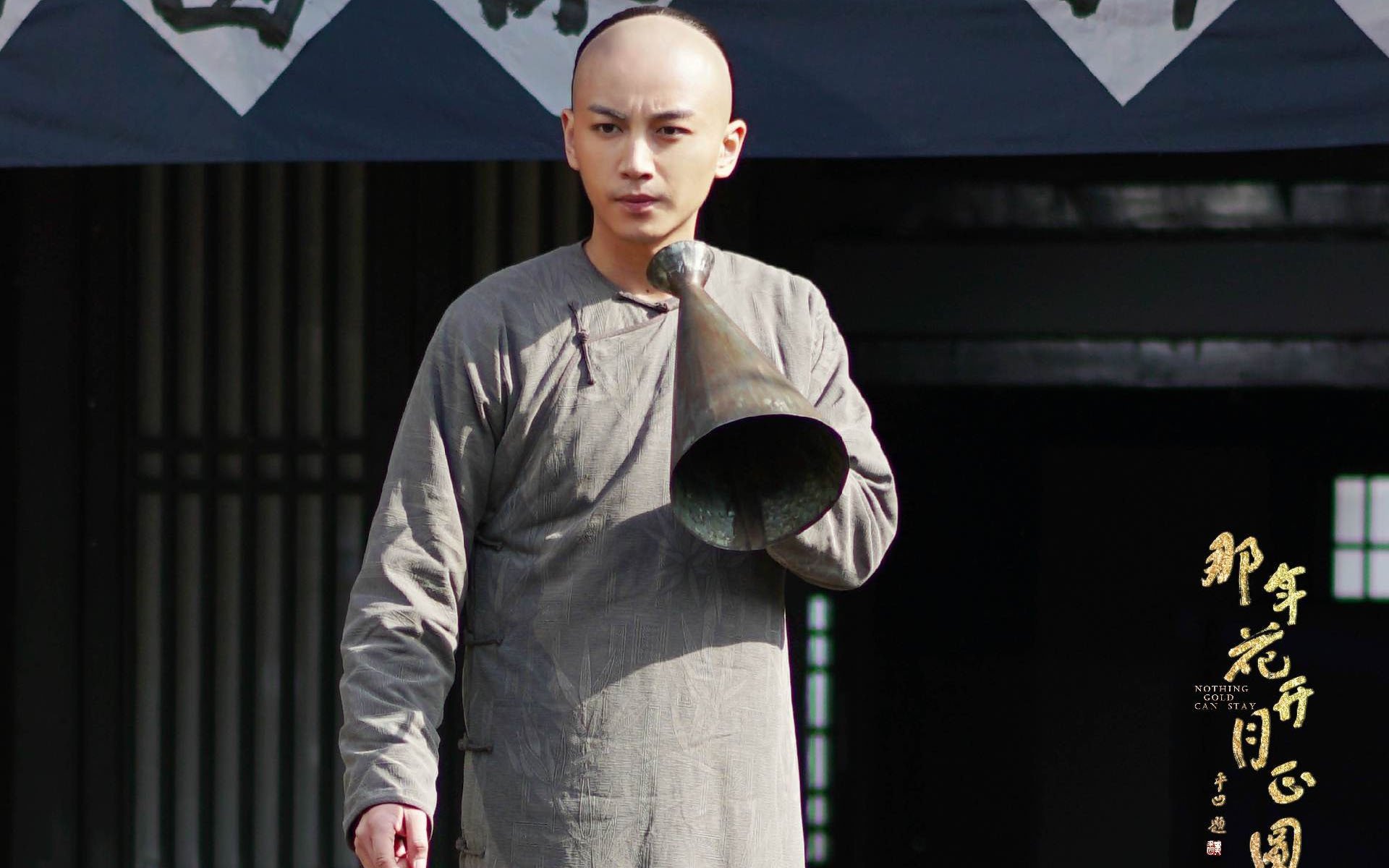 影视,电视剧,那年花开月正圆