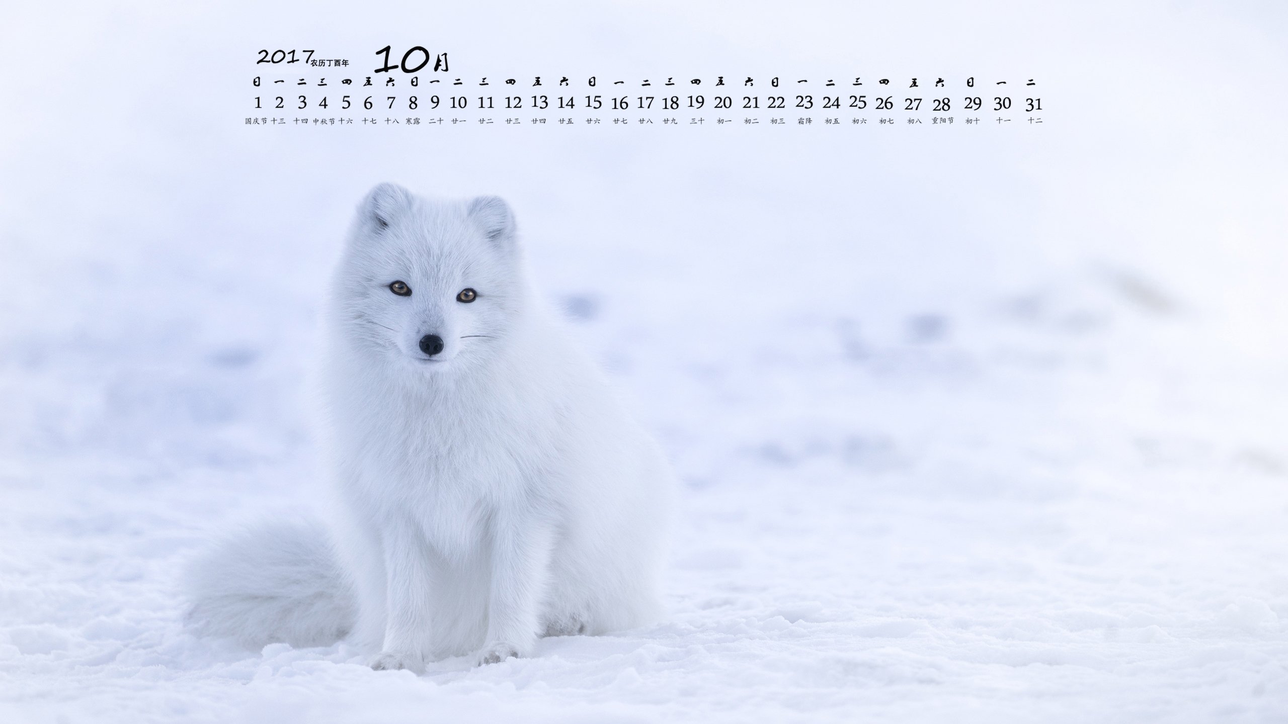 月历,2017年10月