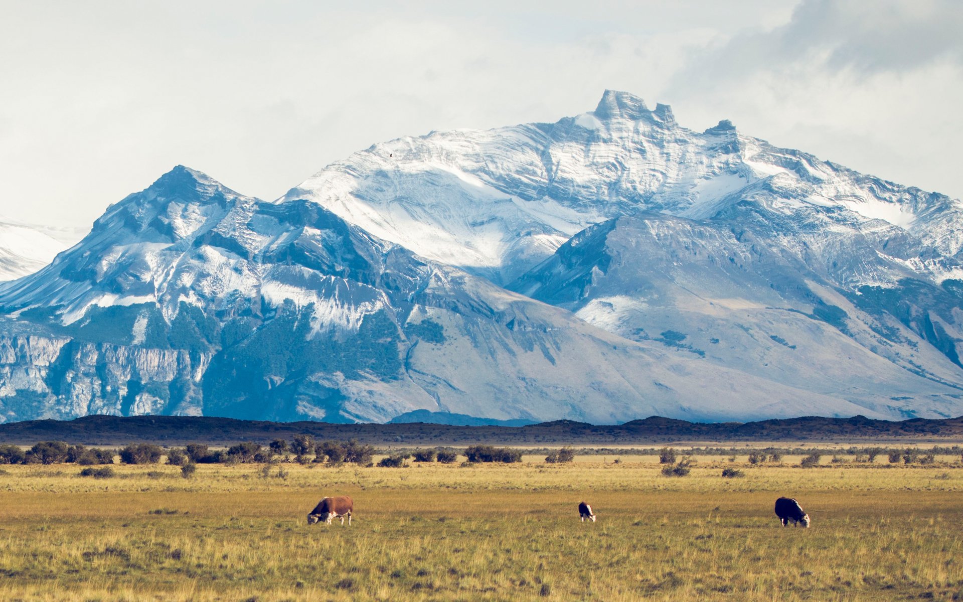 风景,自然风光,草原,山峰,雪山
