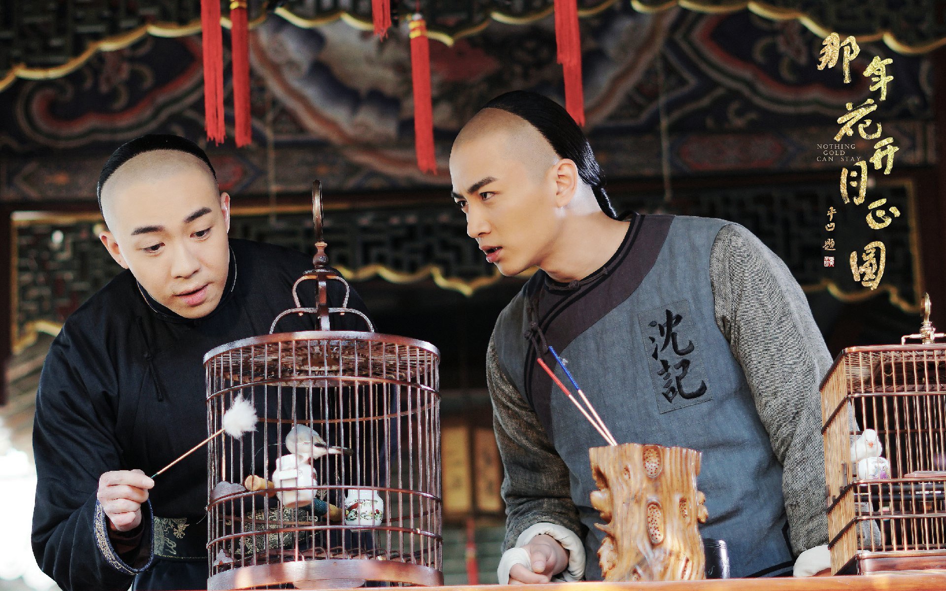 影视,电视剧,那年花开月正圆