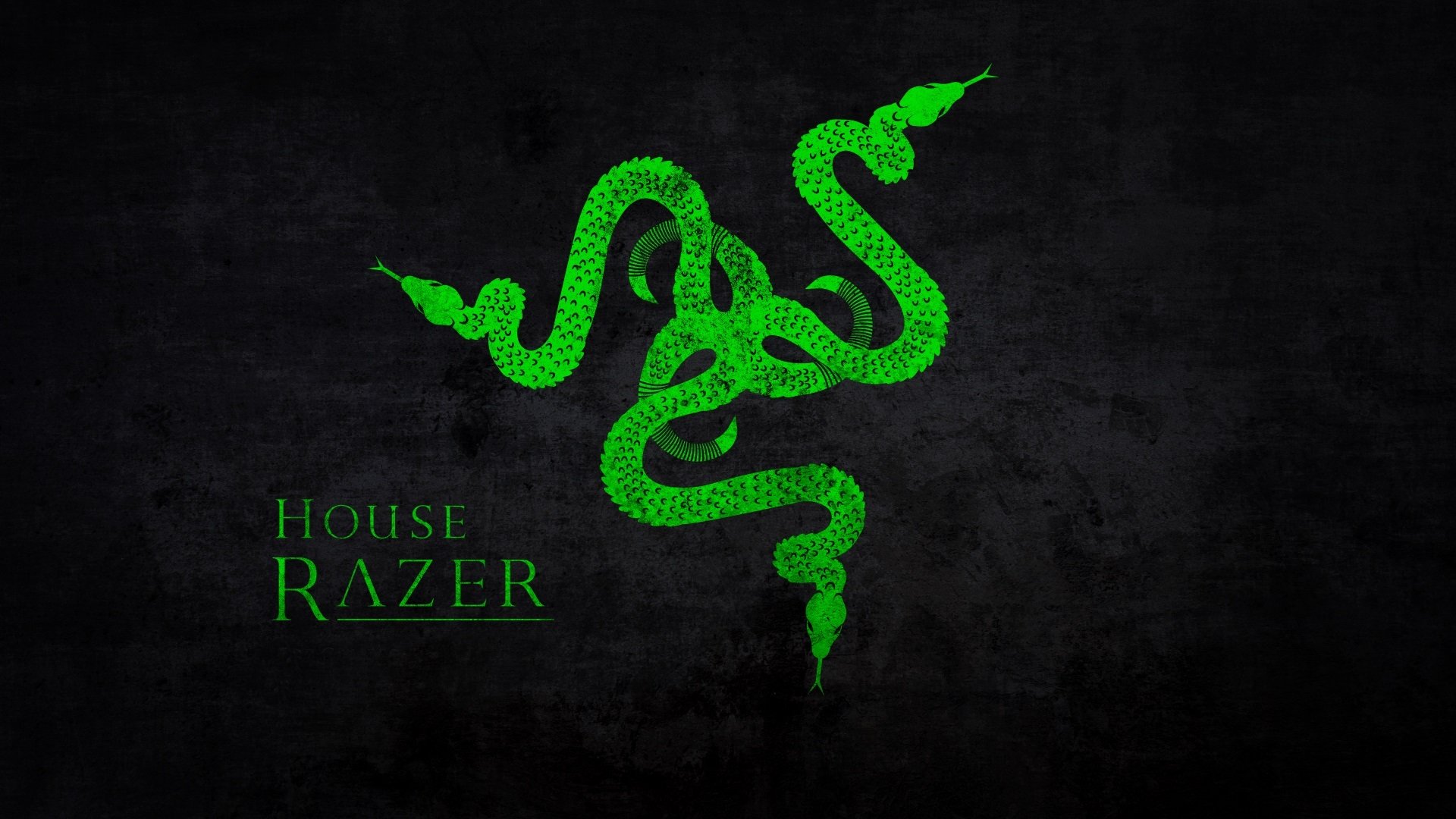 炫酷时尚,品牌,雷蛇