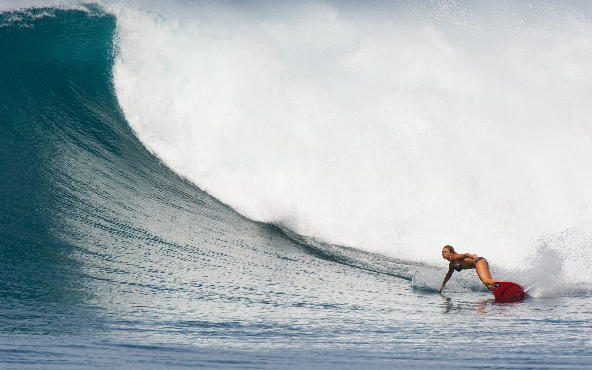 体育,极限运动,冲浪