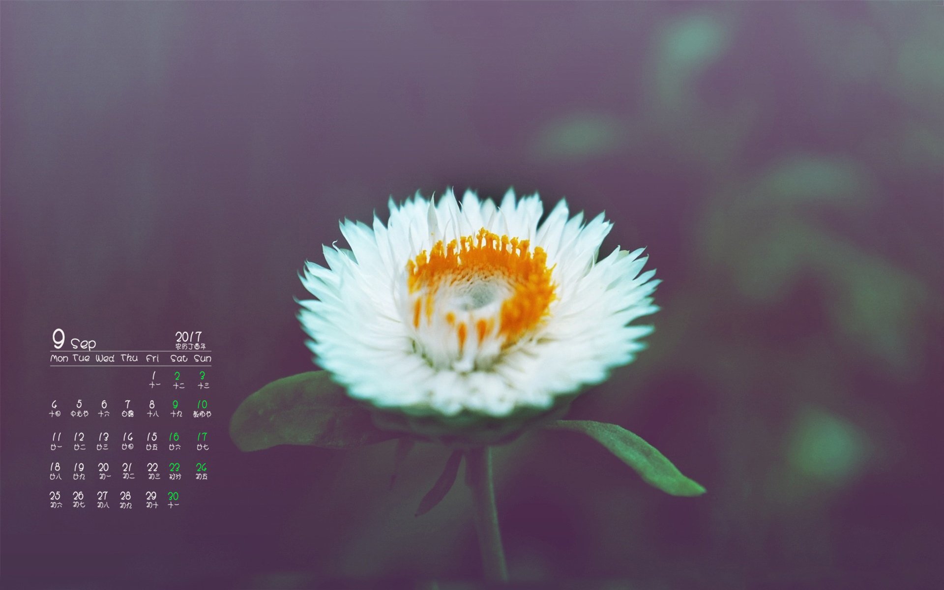 月历,2017年9月