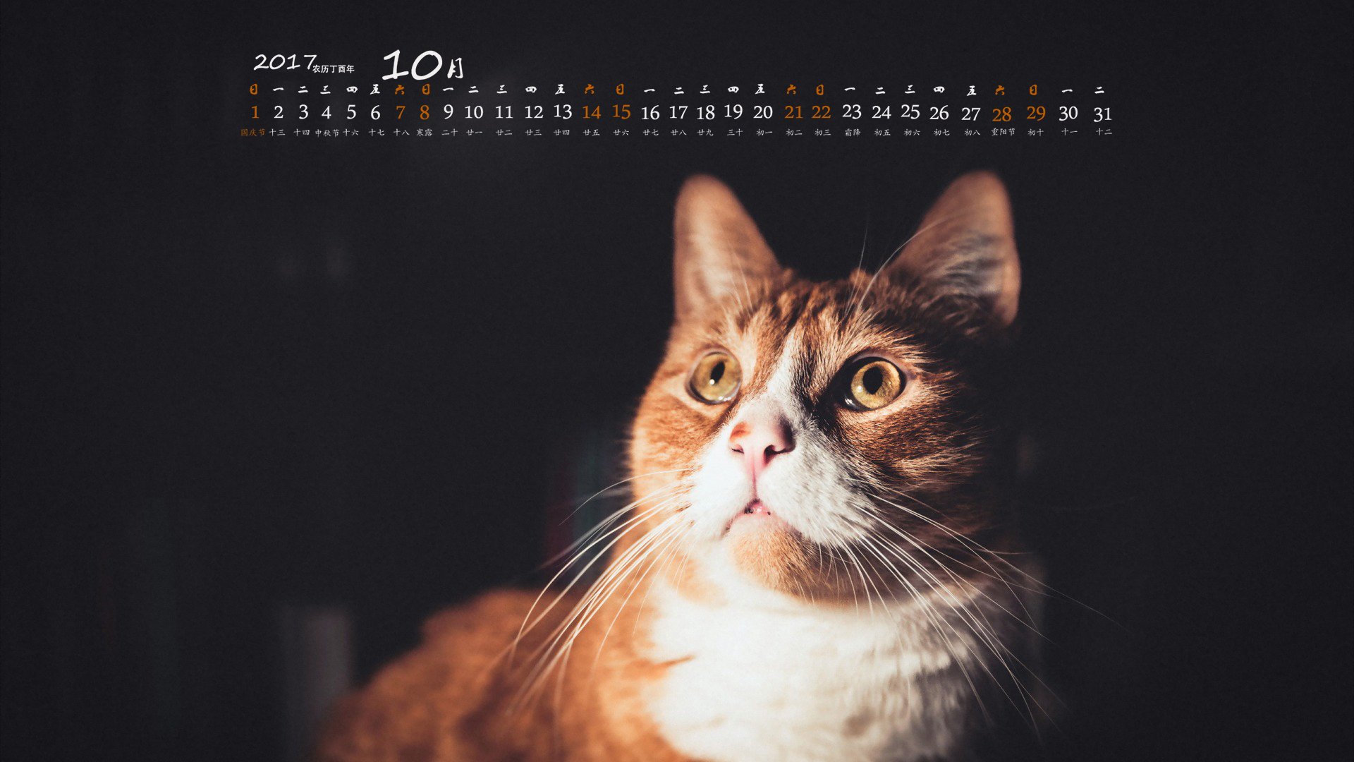 月历,2017年10月