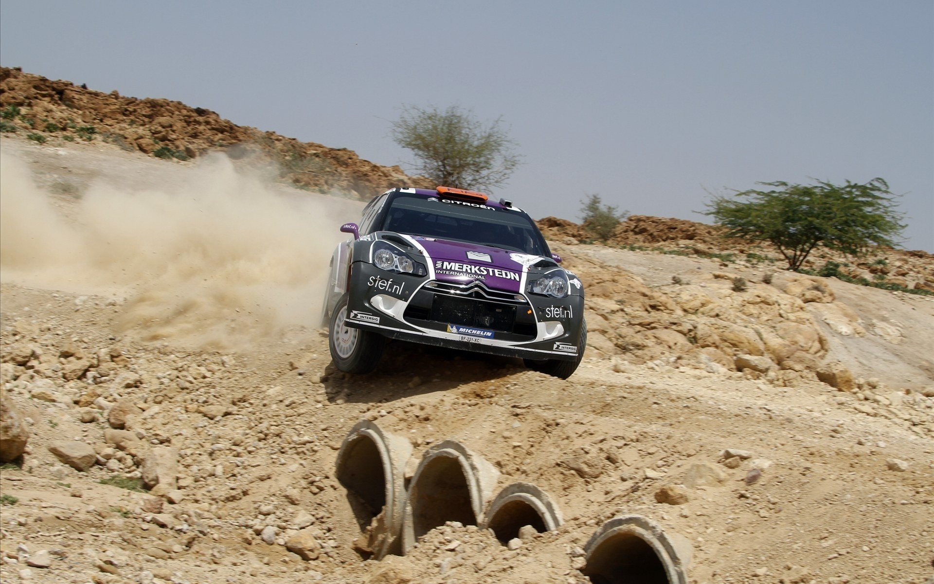 汽车,拉力赛,雪铁龙