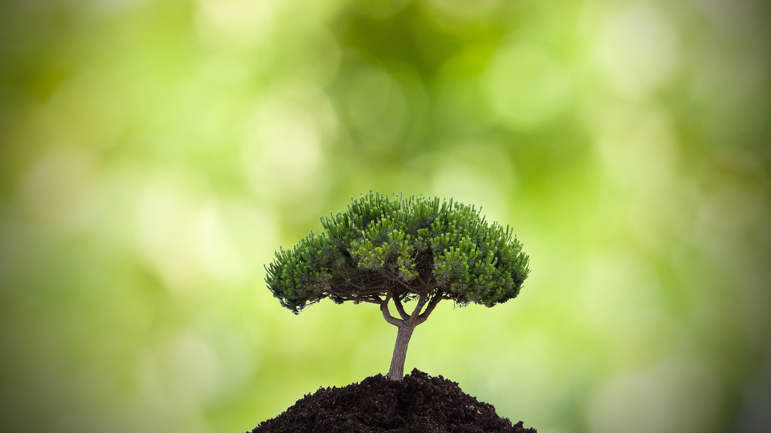 小清新,舒缓压力