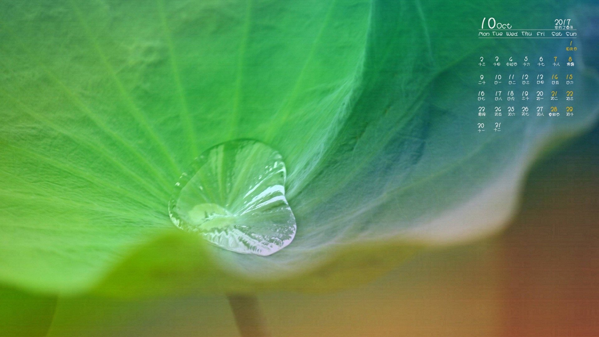 日历,2017年10月,荷叶,绿叶
