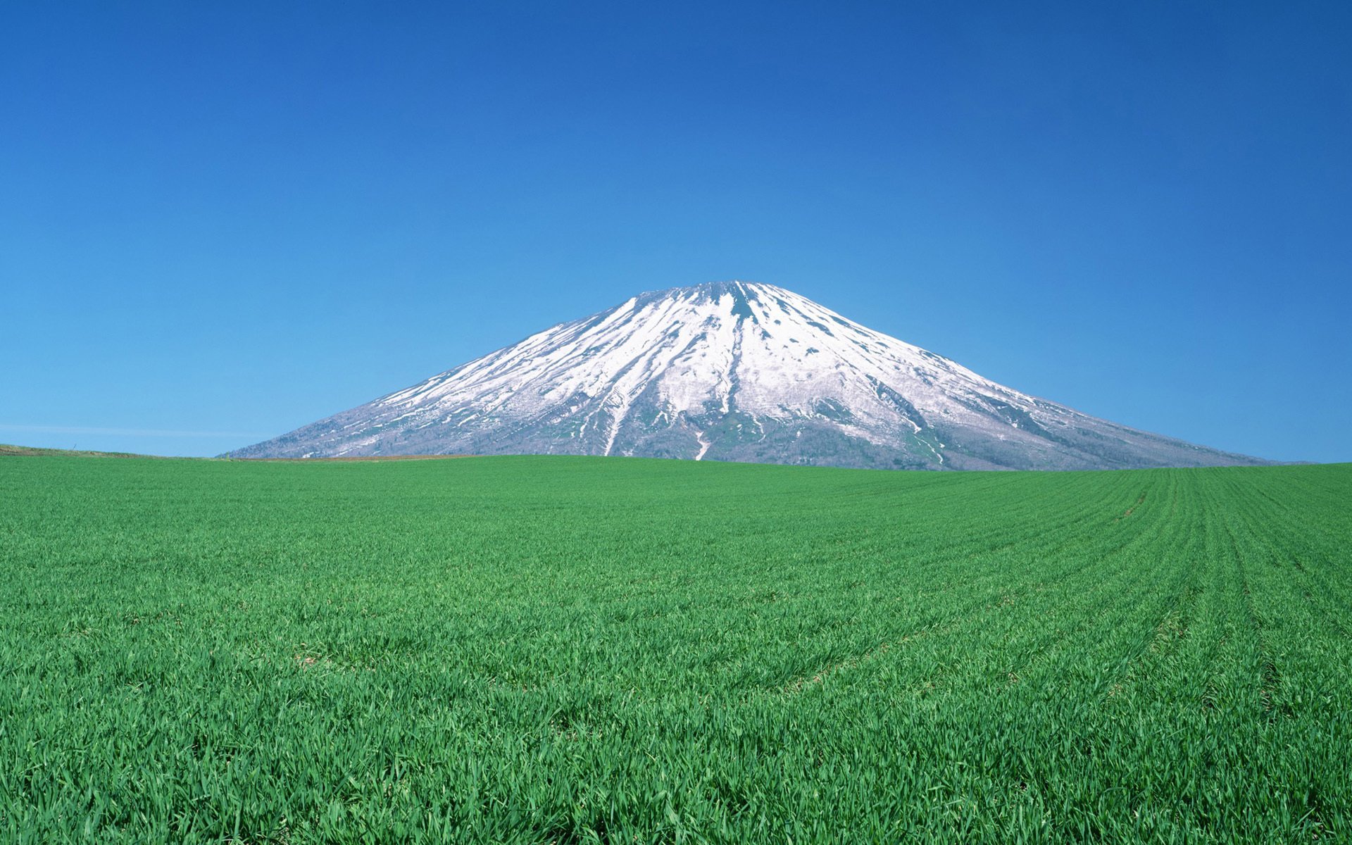 风景,自然风光,草地,日本,北海道,山峰