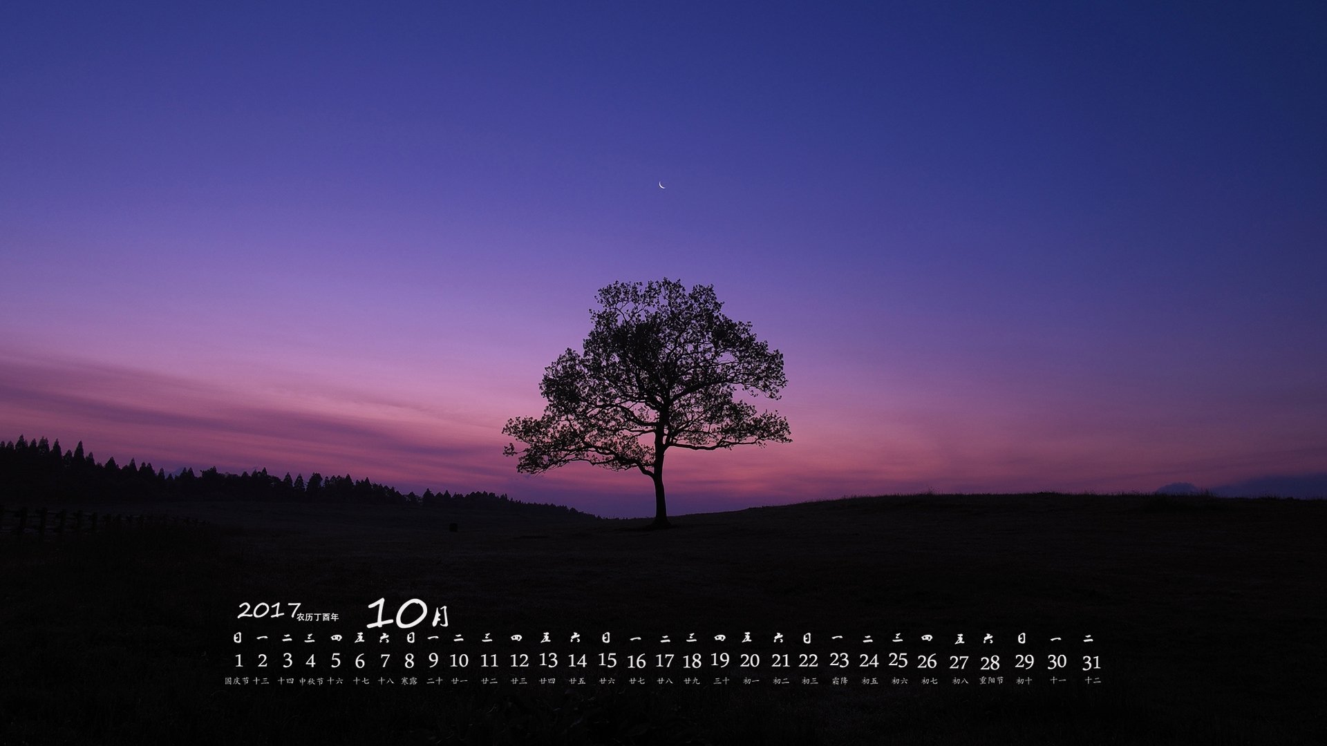 月历,2017年10月,夜空,树