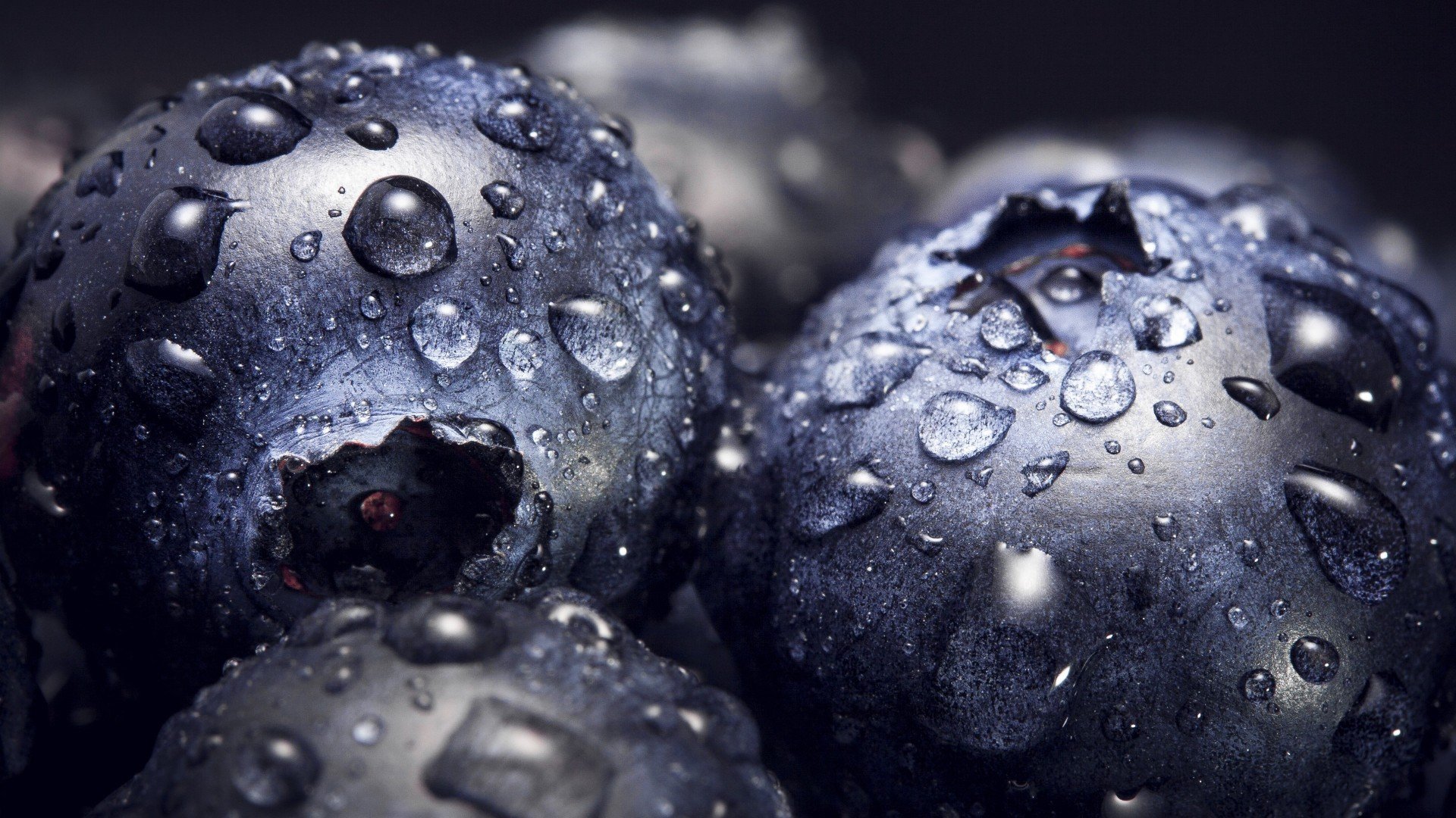 小清新,动感水果,蓝莓