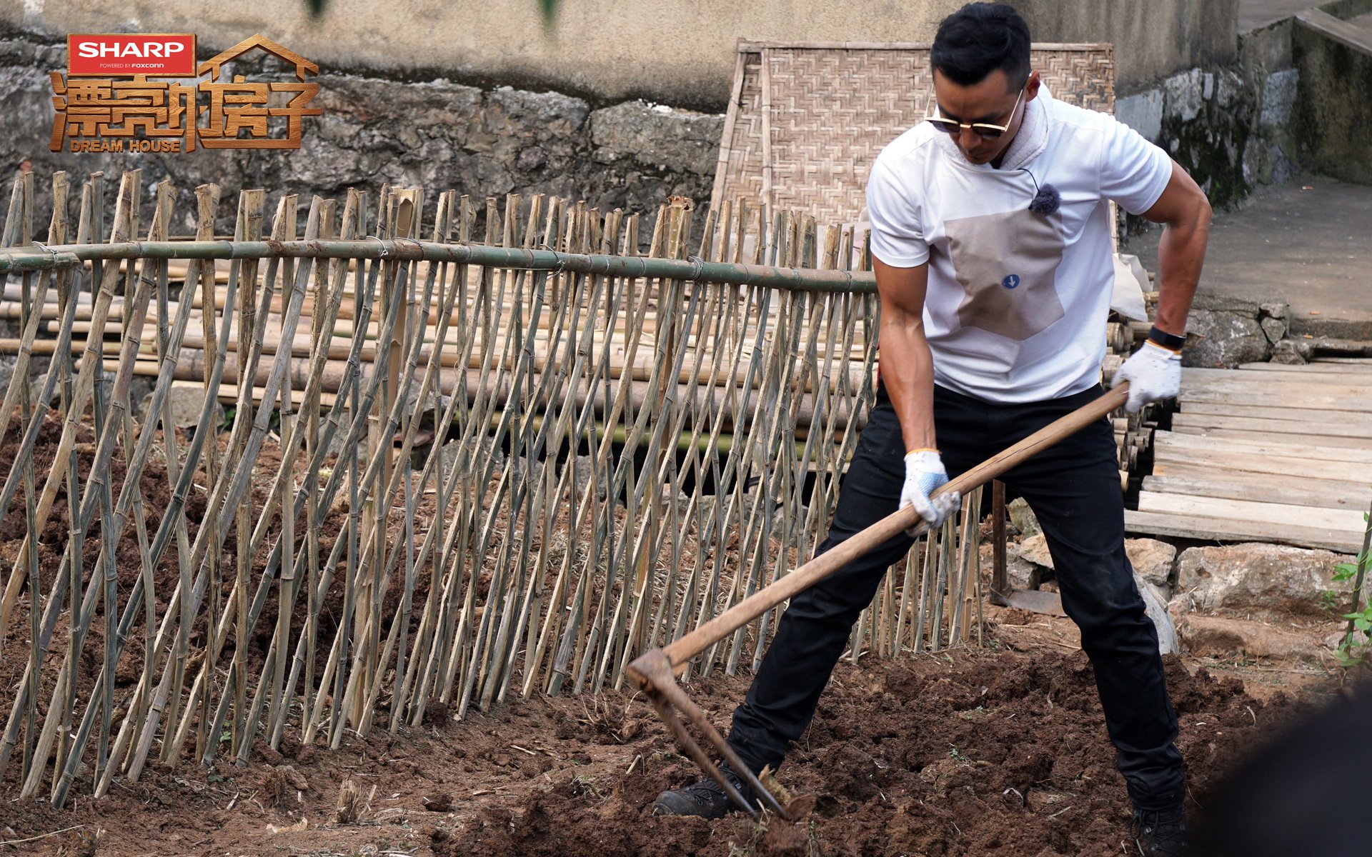 影视,综艺,吴彦祖,漂亮的房子
