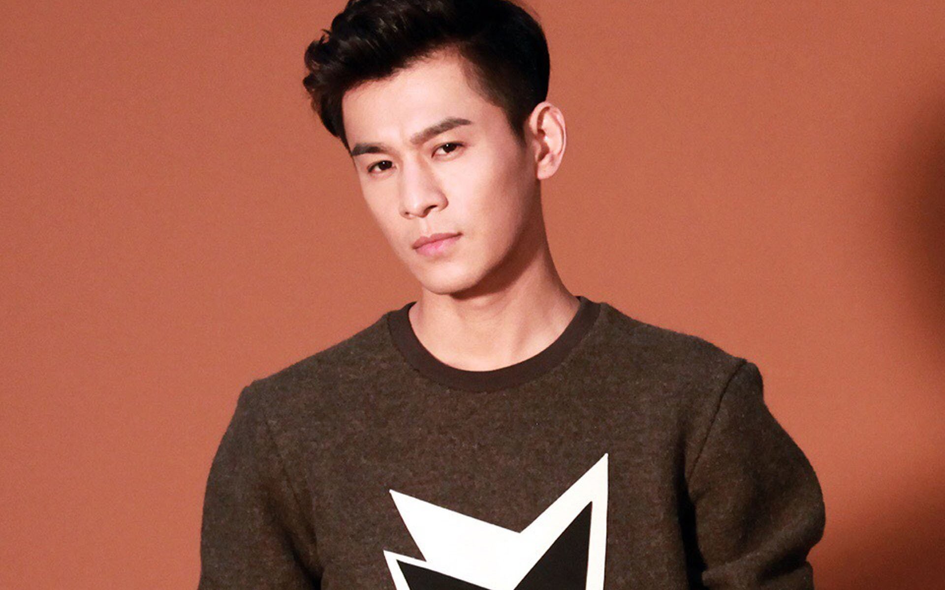 内地明星,乔振宇