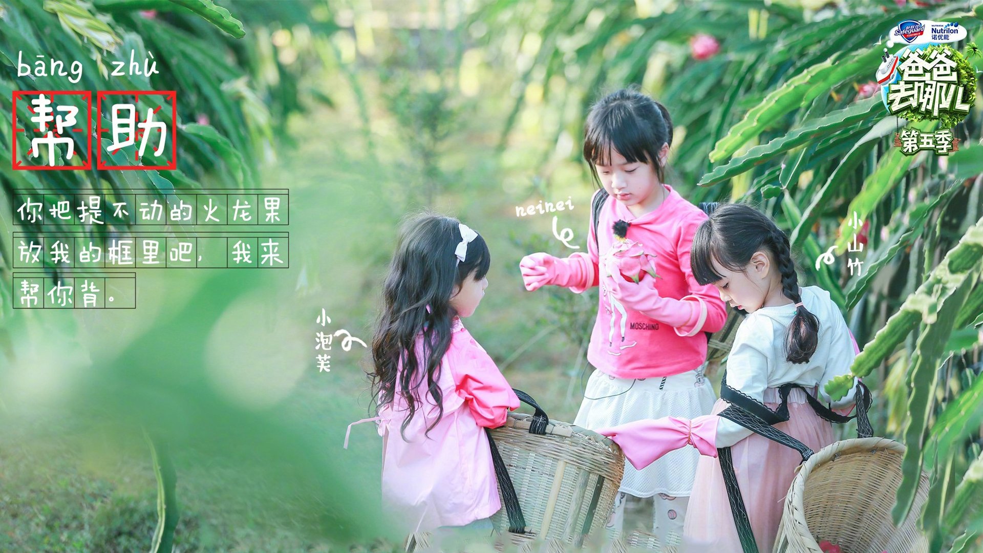 影视,电视剧,爸爸去哪儿5