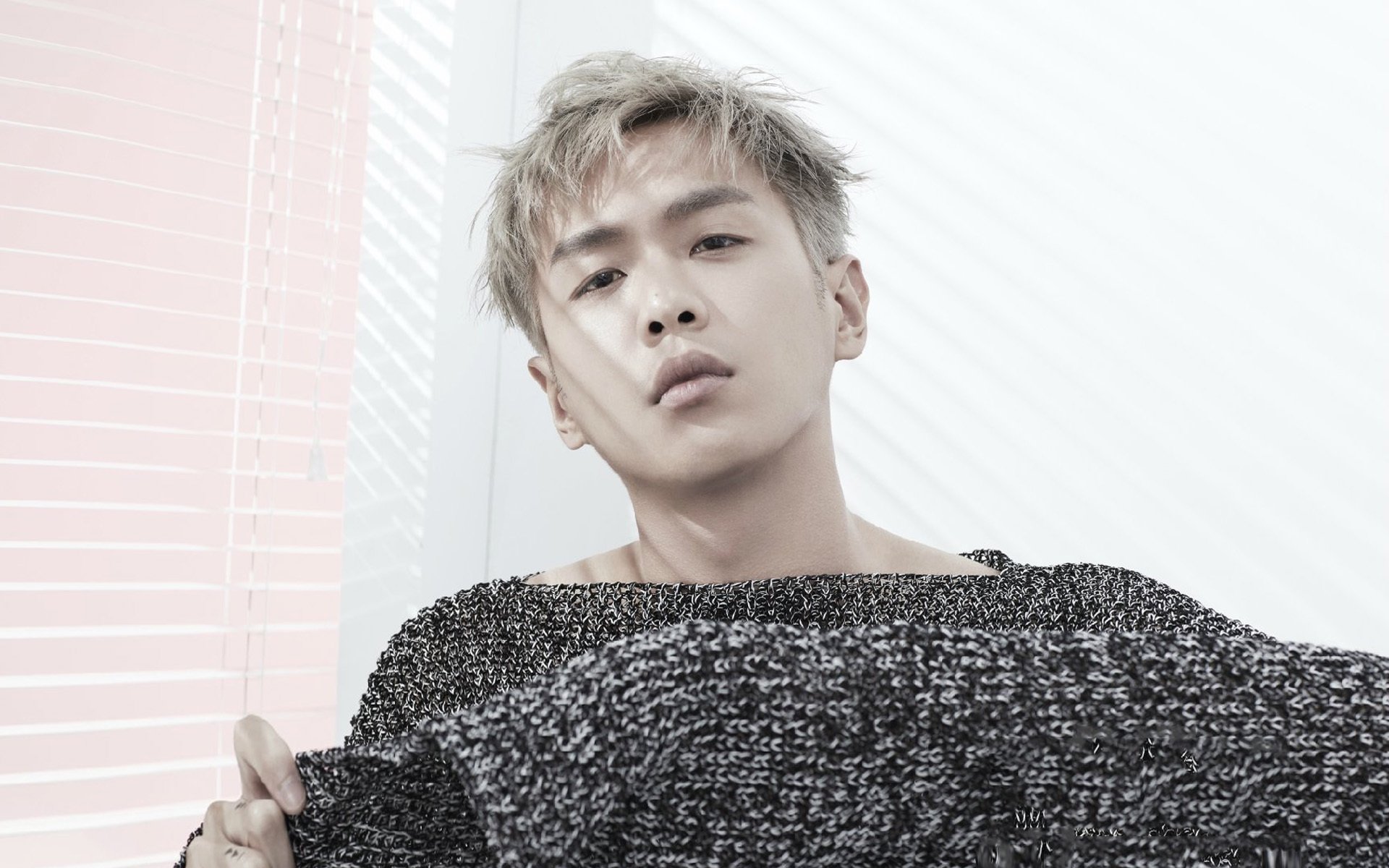 内地明星,张若昀