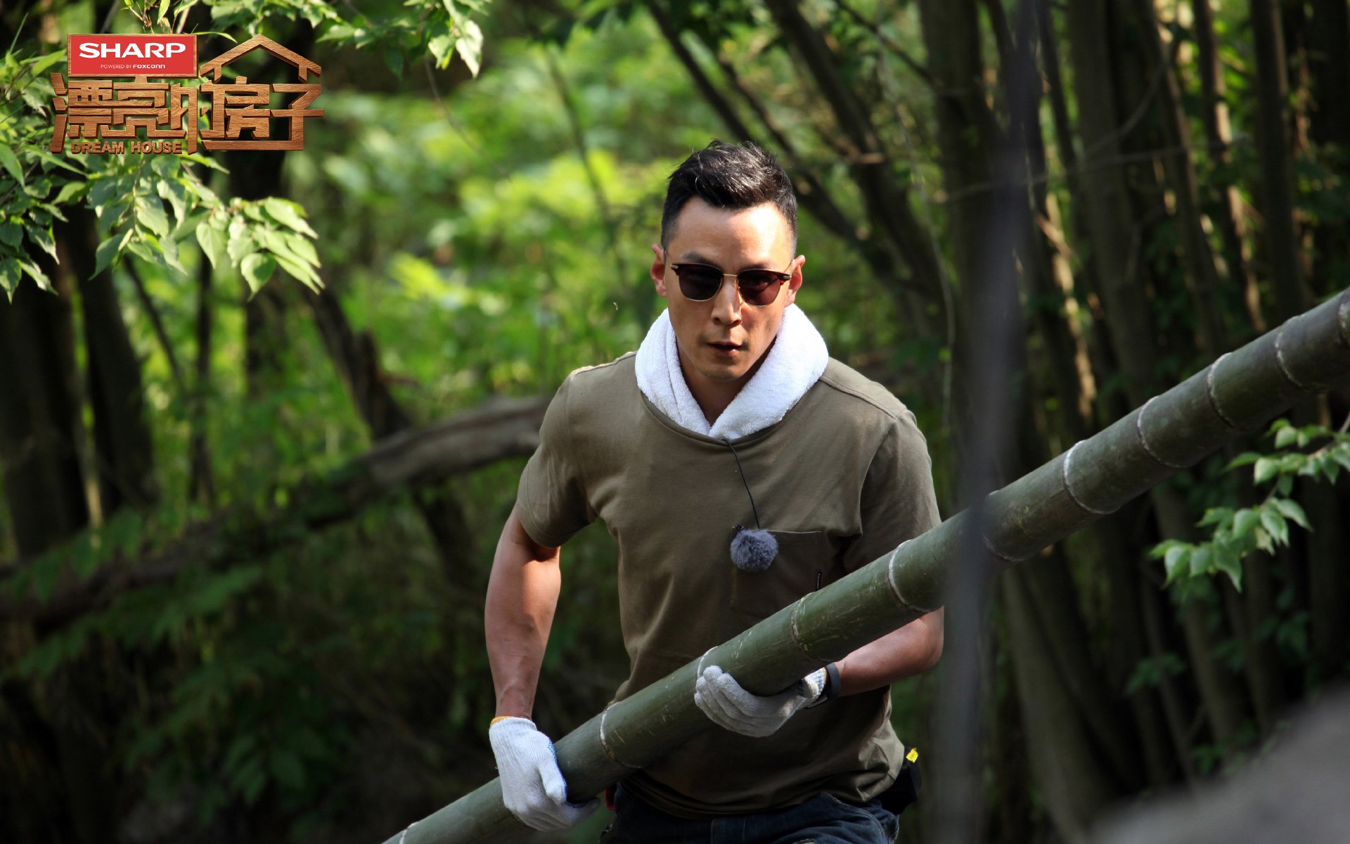 影视,综艺,漂亮的房子,吴彦祖