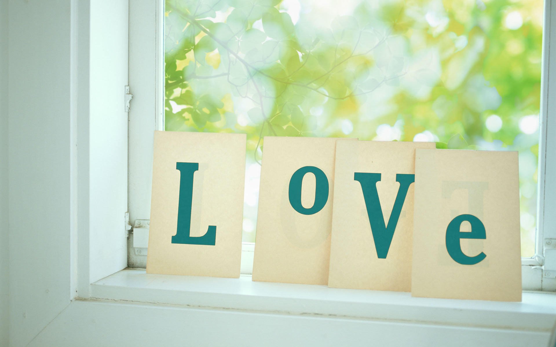 爱情,爱情箴言,love,绿叶