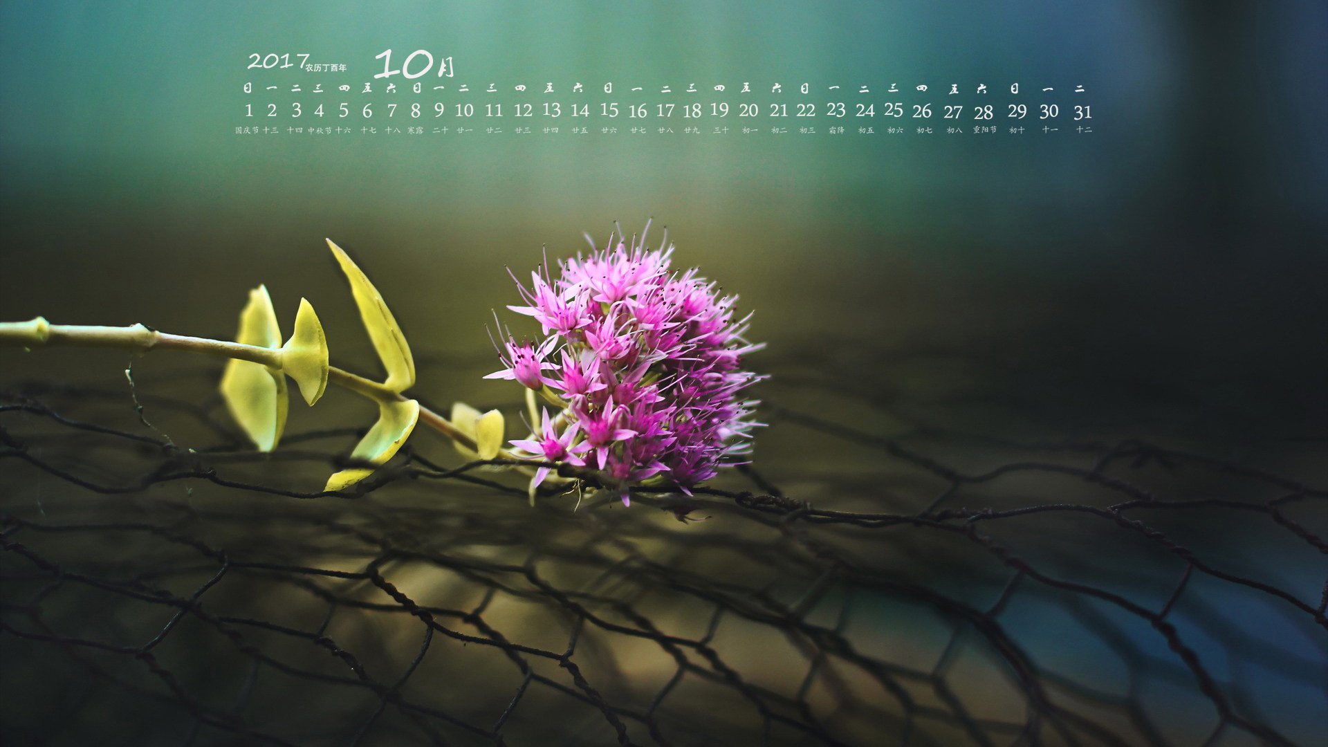 月历,2017年10月
