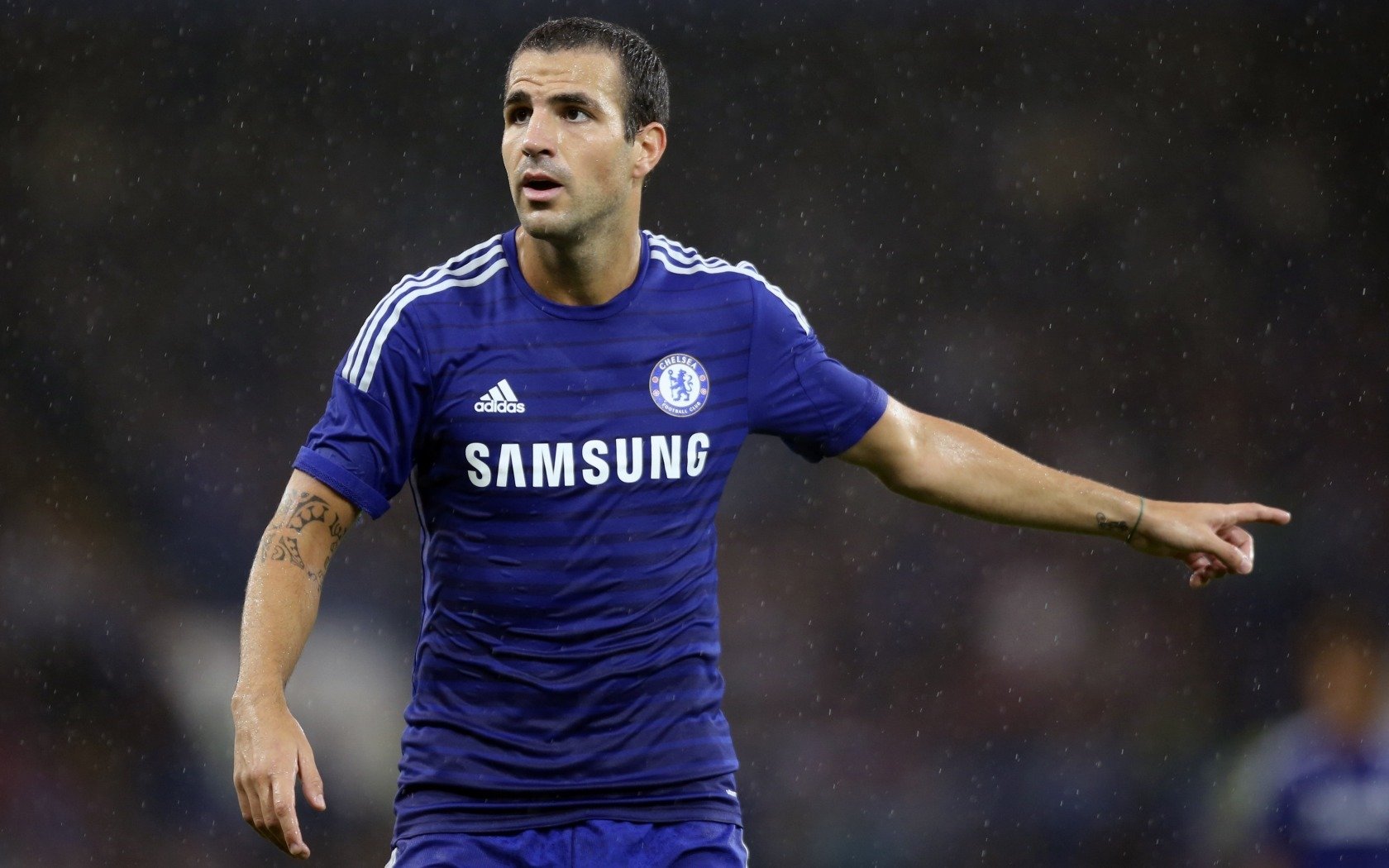 体育,运动,足球,切尔西,法布雷加斯