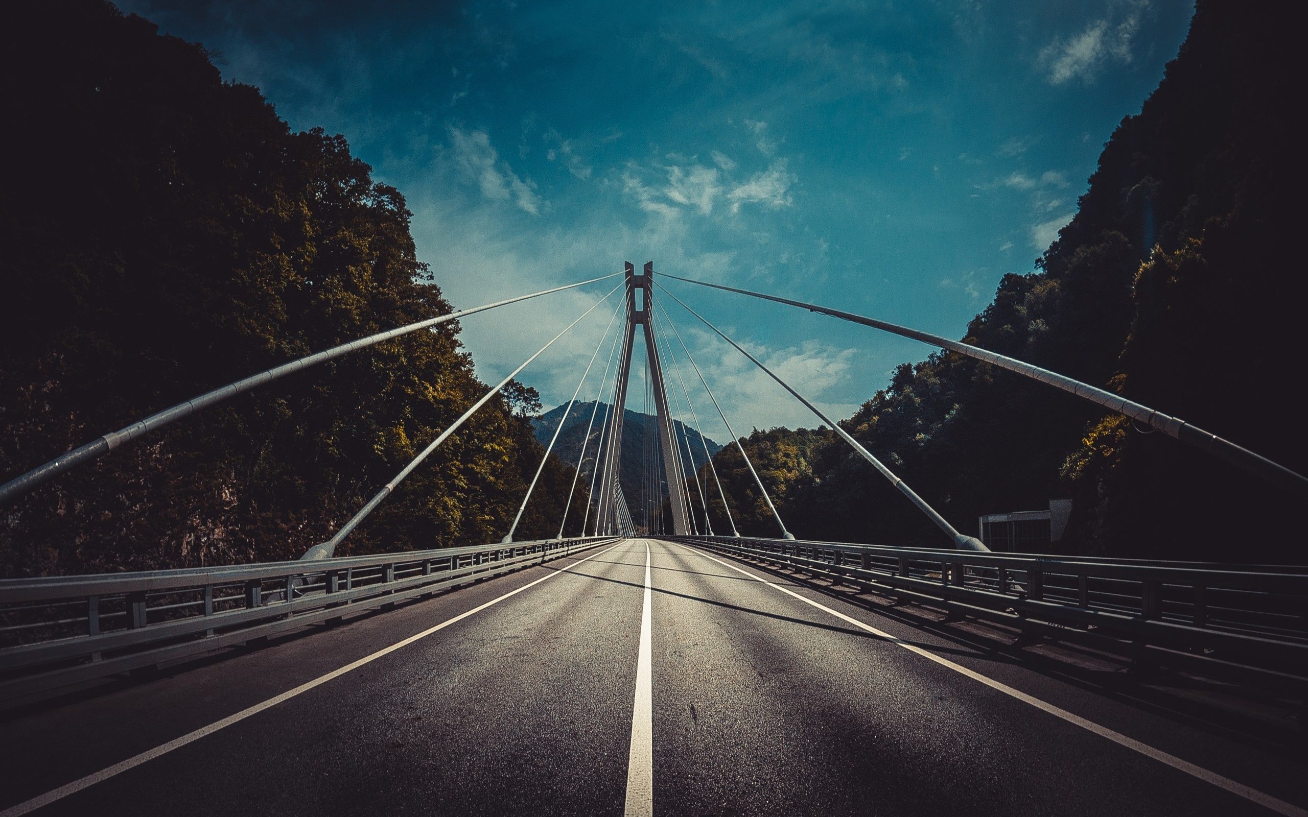 风景,自然风光,道路