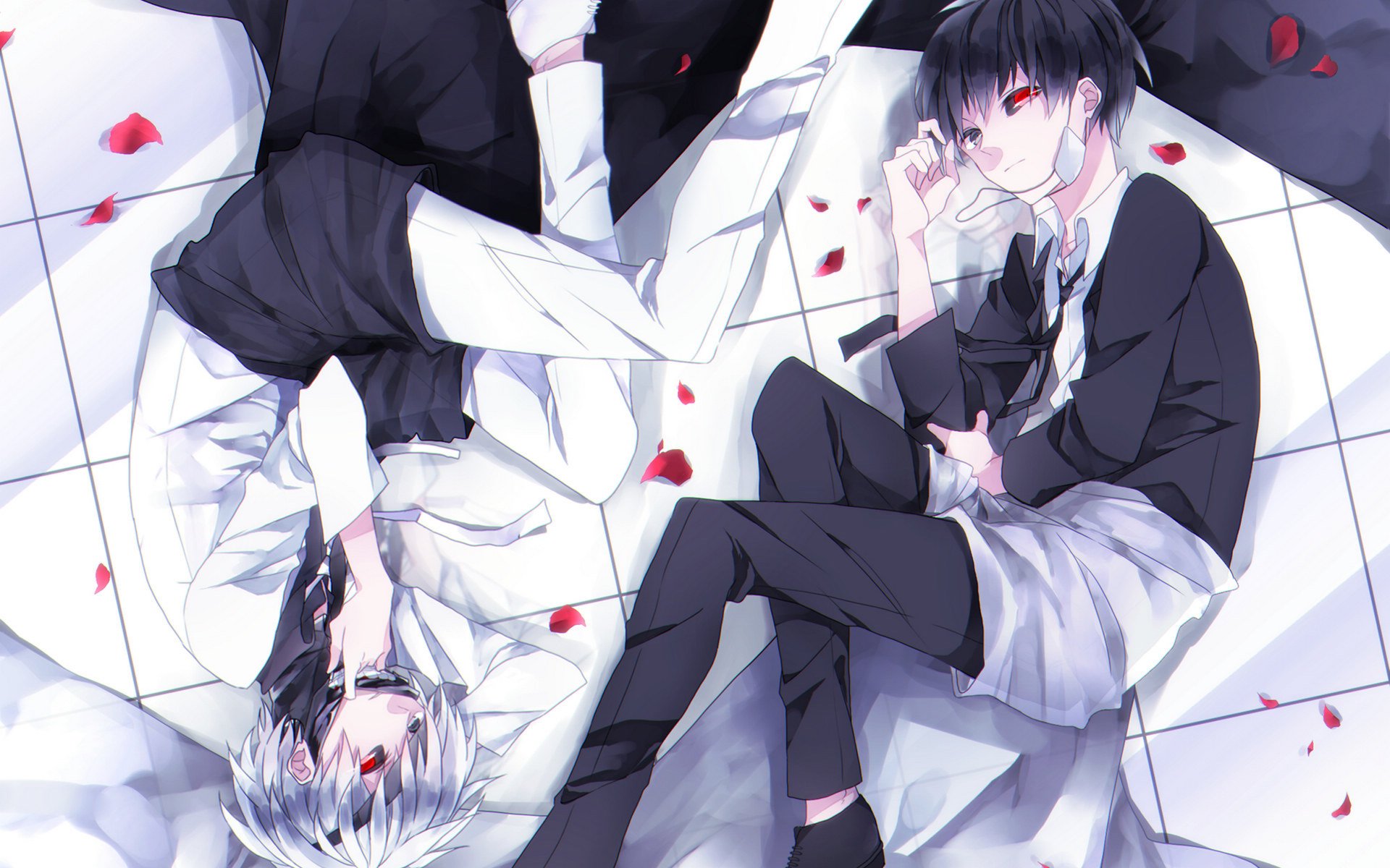 动漫,食尸鬼,金木研