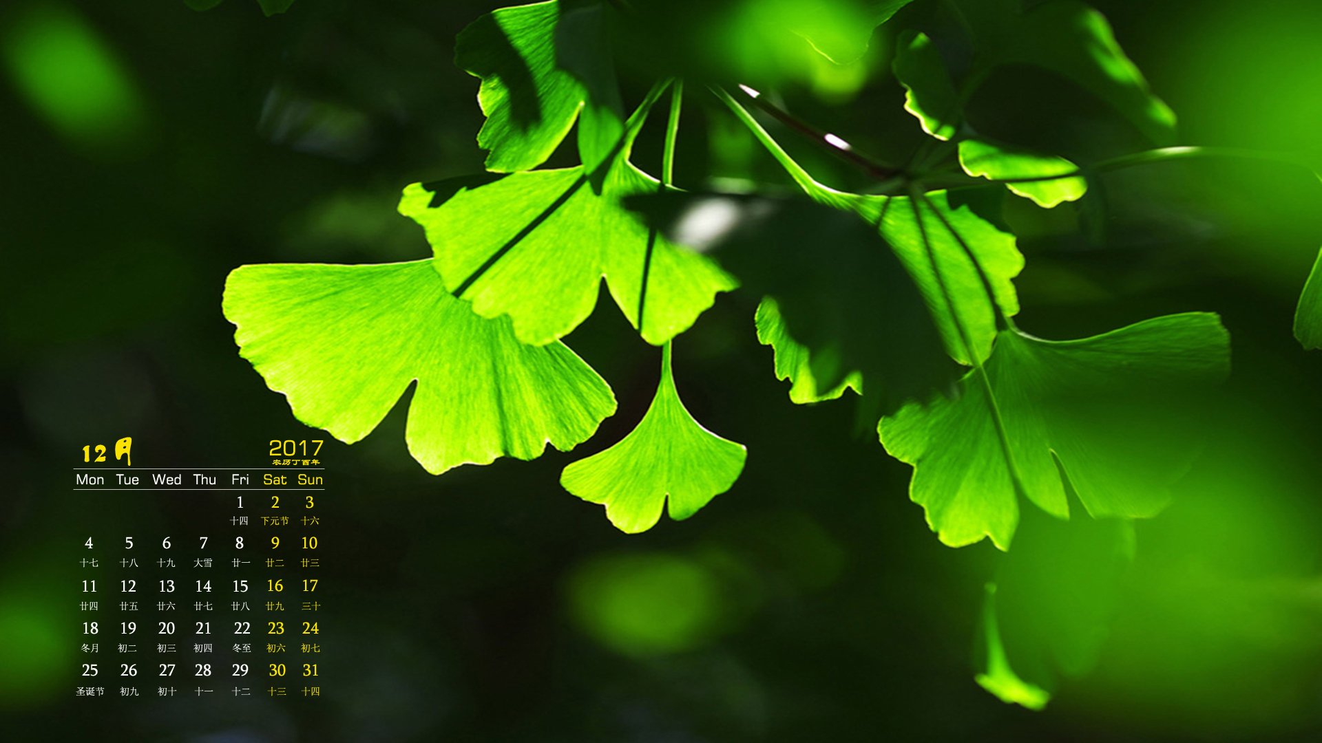 月历,风景,银杏