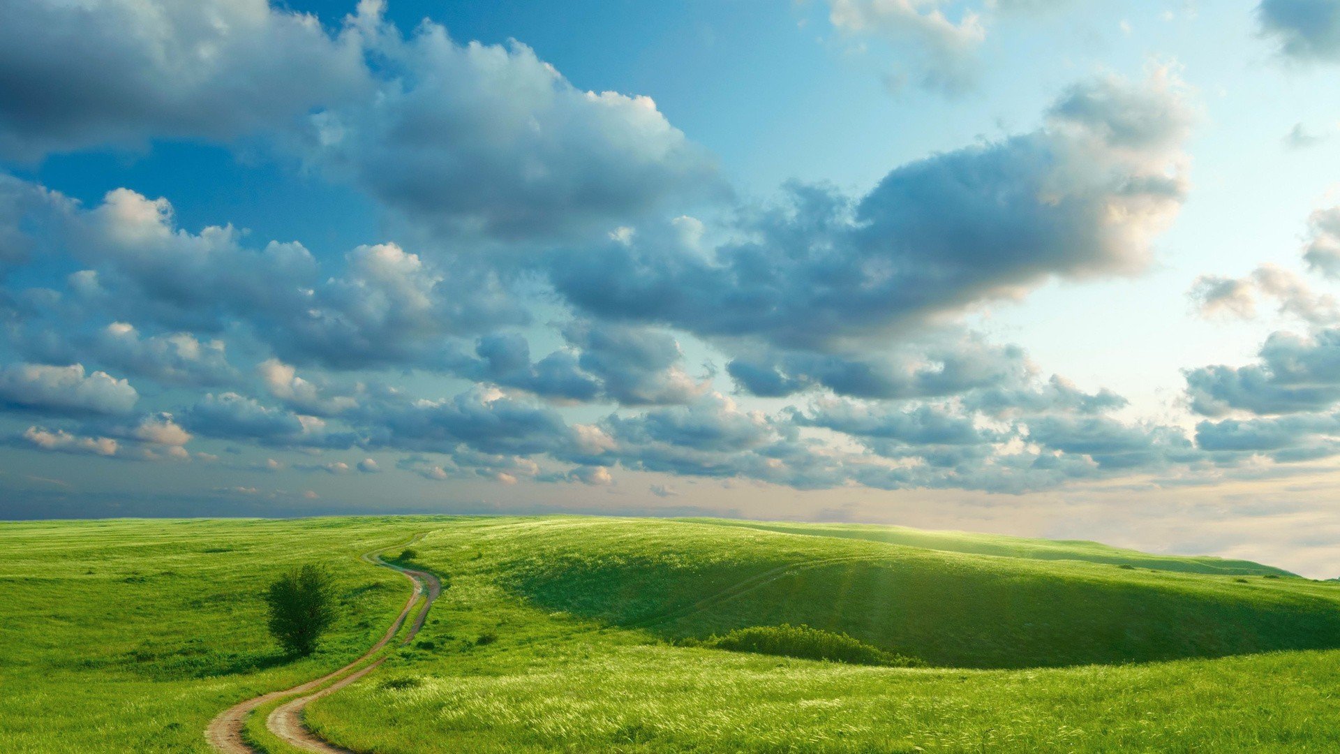 风景,自然风光,草地,草原