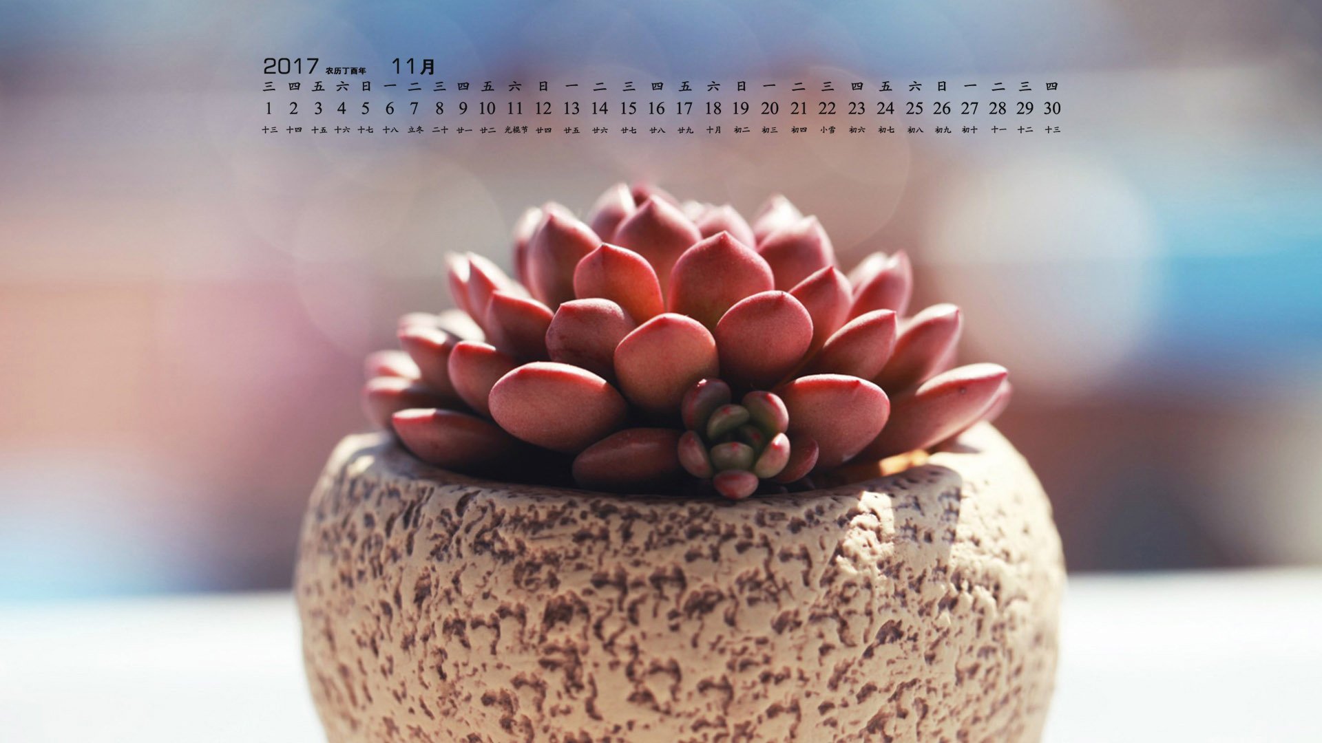 月历,2017年11月