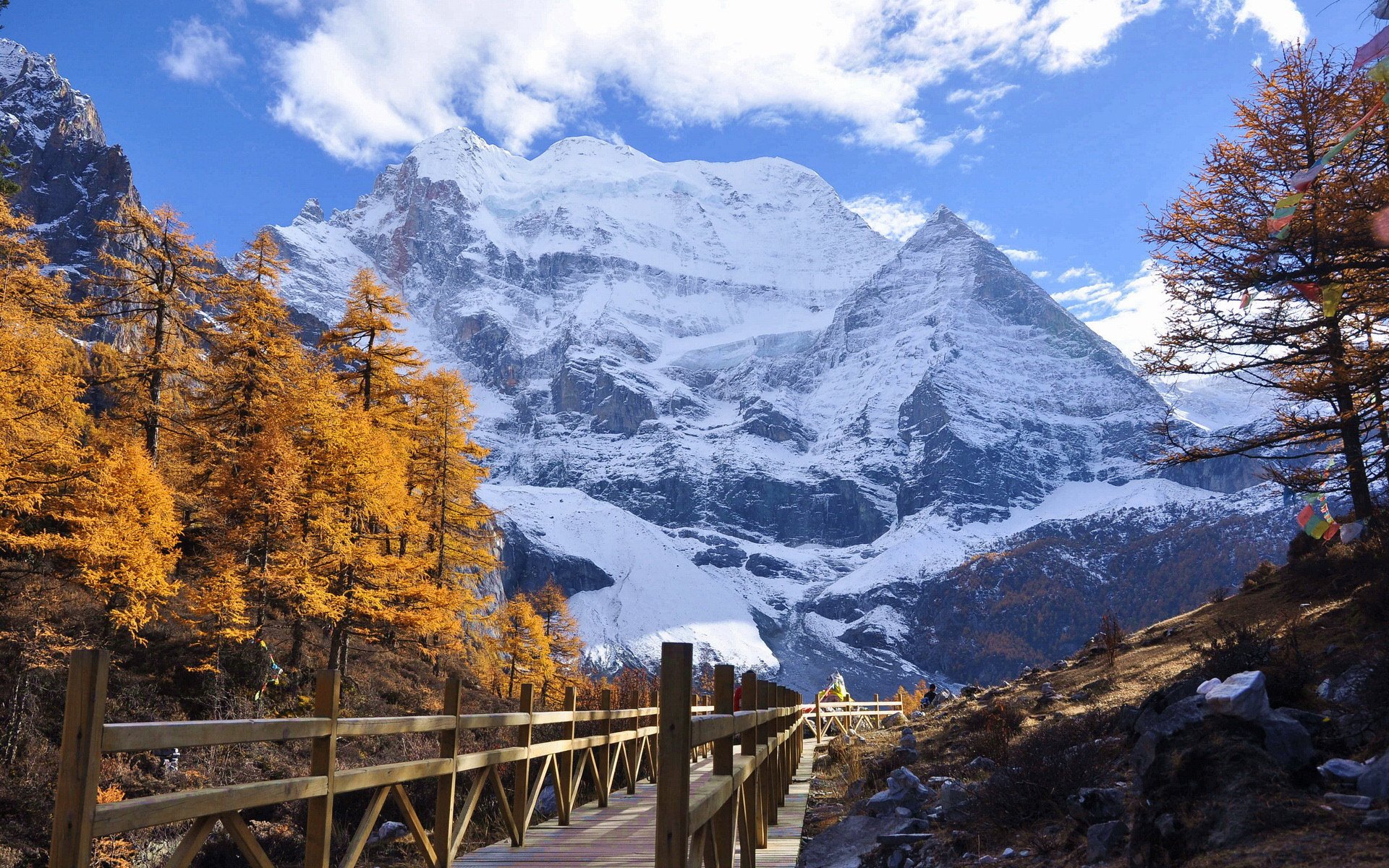风景,枫叶,雪山,新都桥