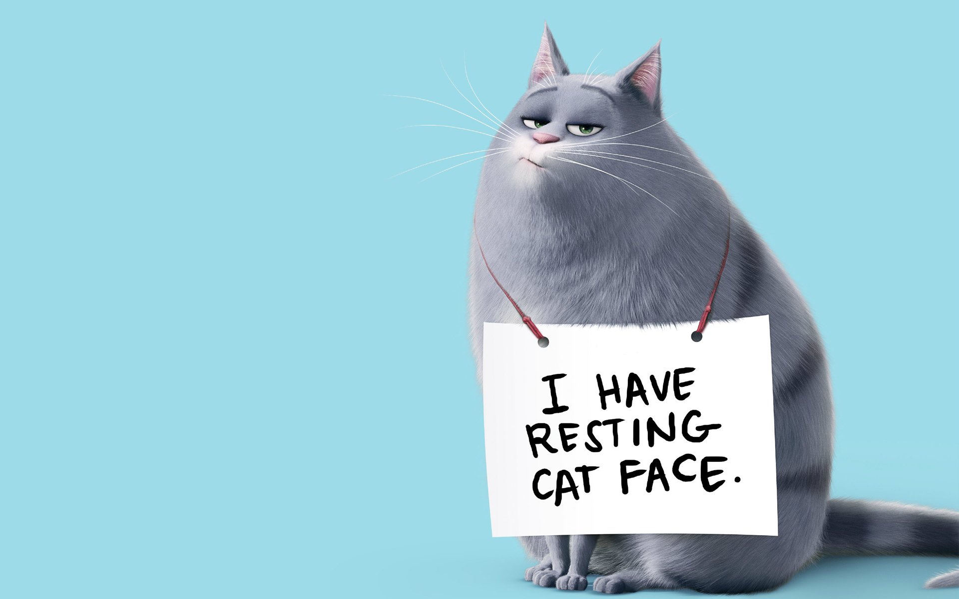 动漫,卡通人物,爱宠大机密