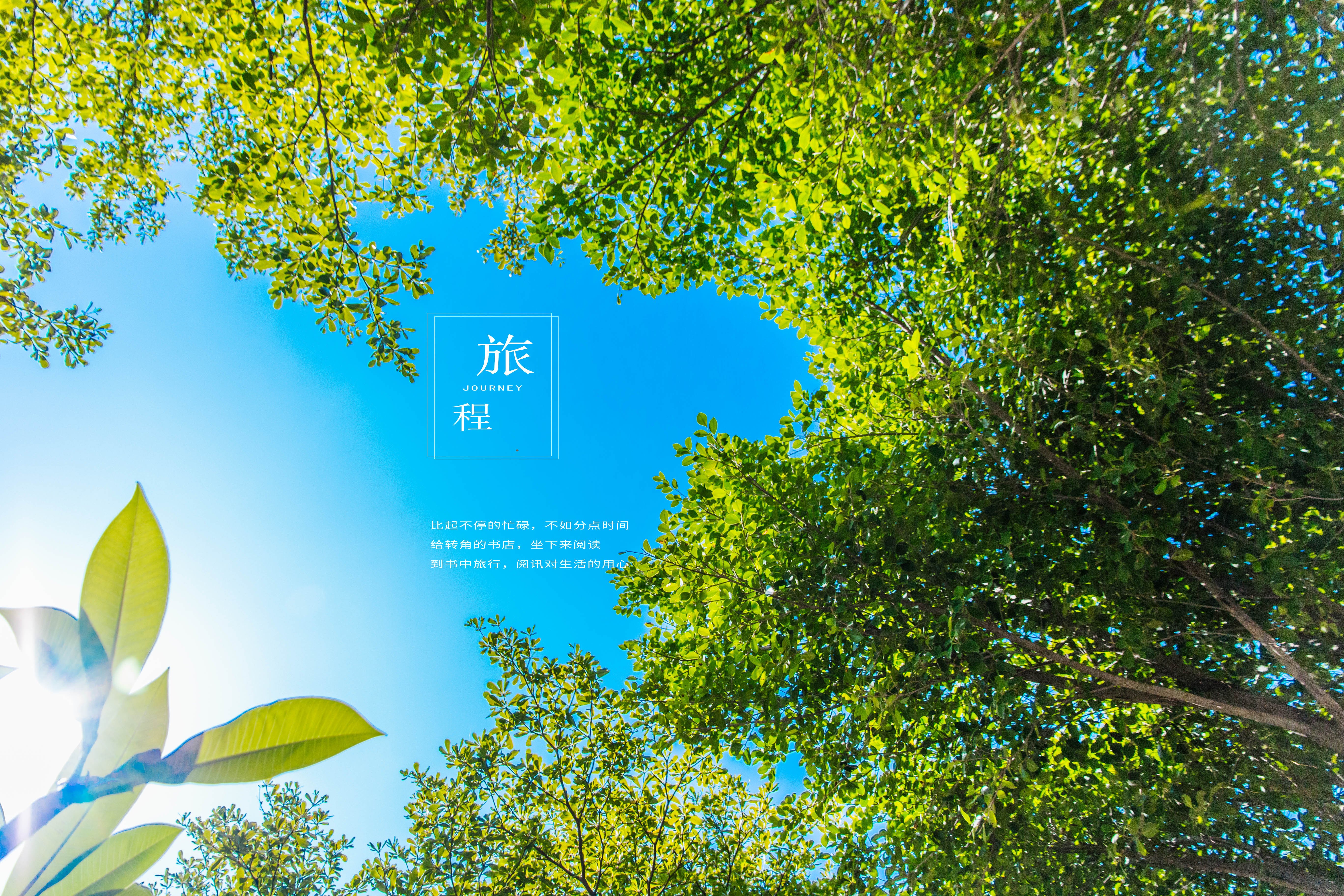 文字控,绿色,旅程,大鱼