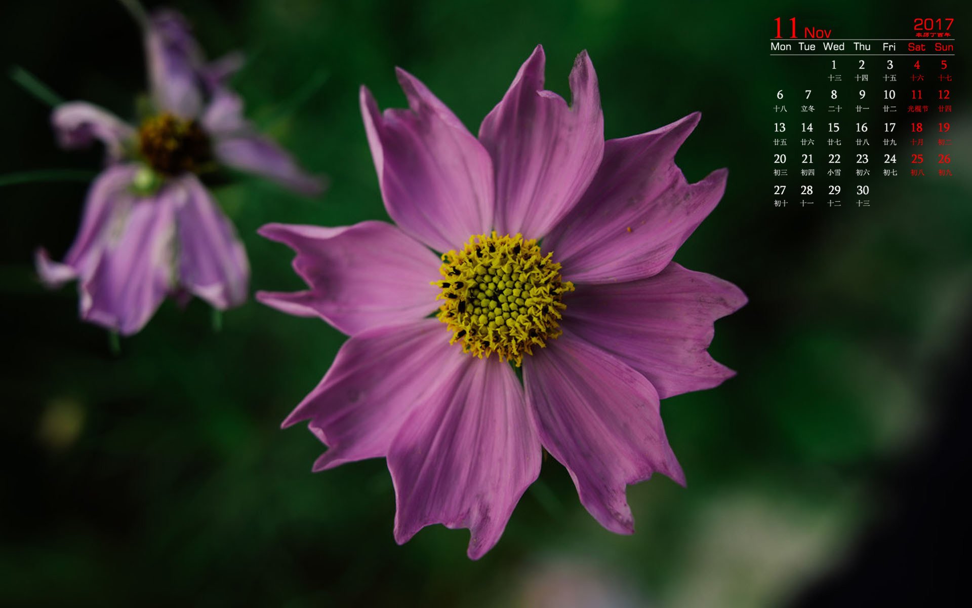 月历,2017年11月