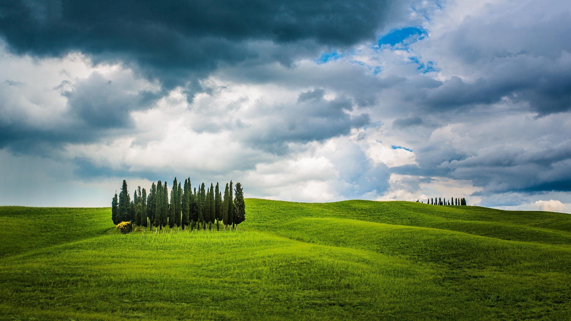 风景,绿色,草原,乌云