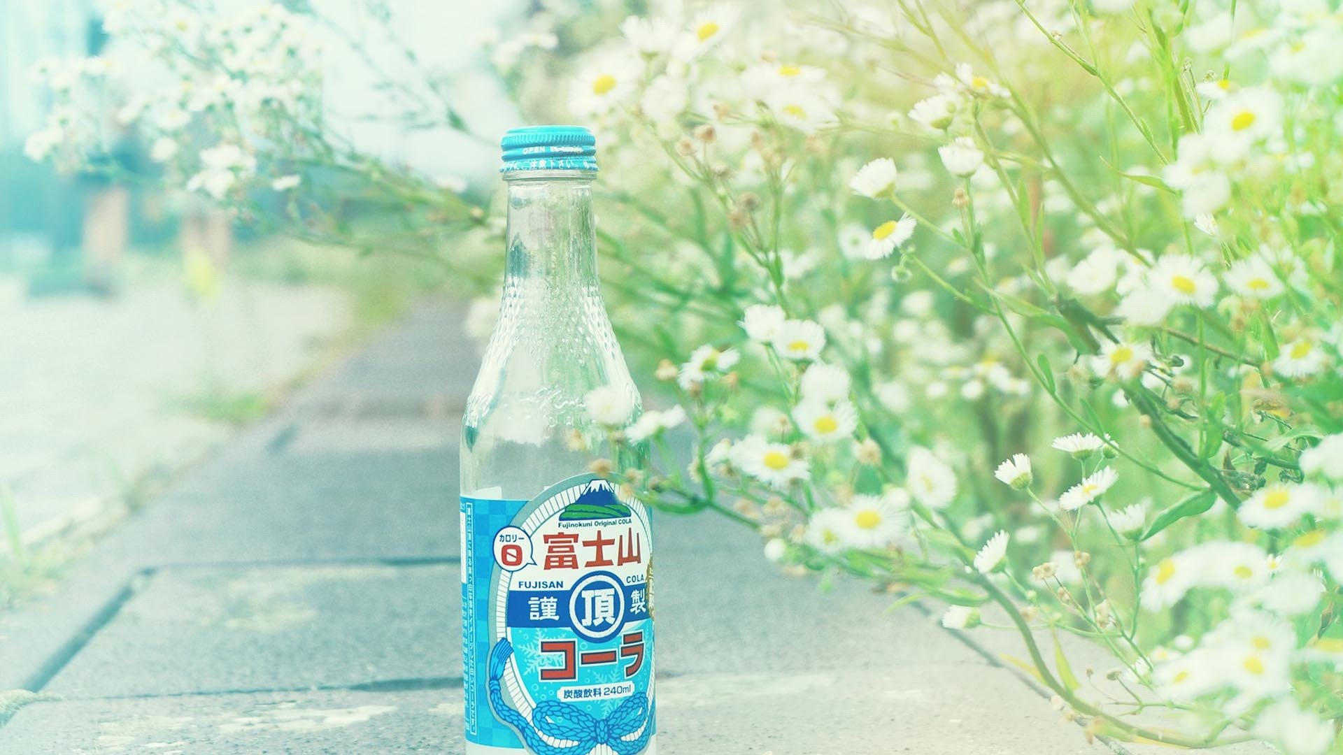 小清新,温毊一刻,夏日饮品