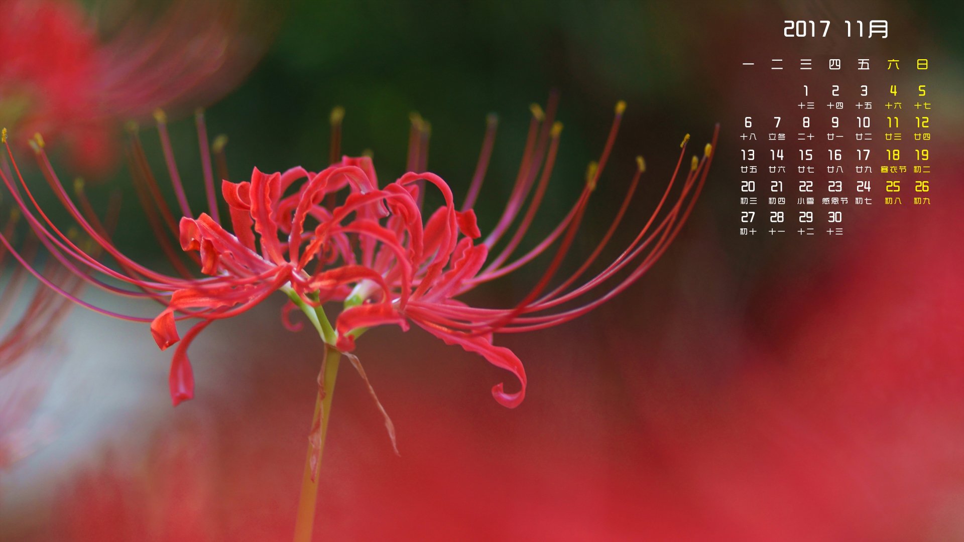 月历,2017年11月