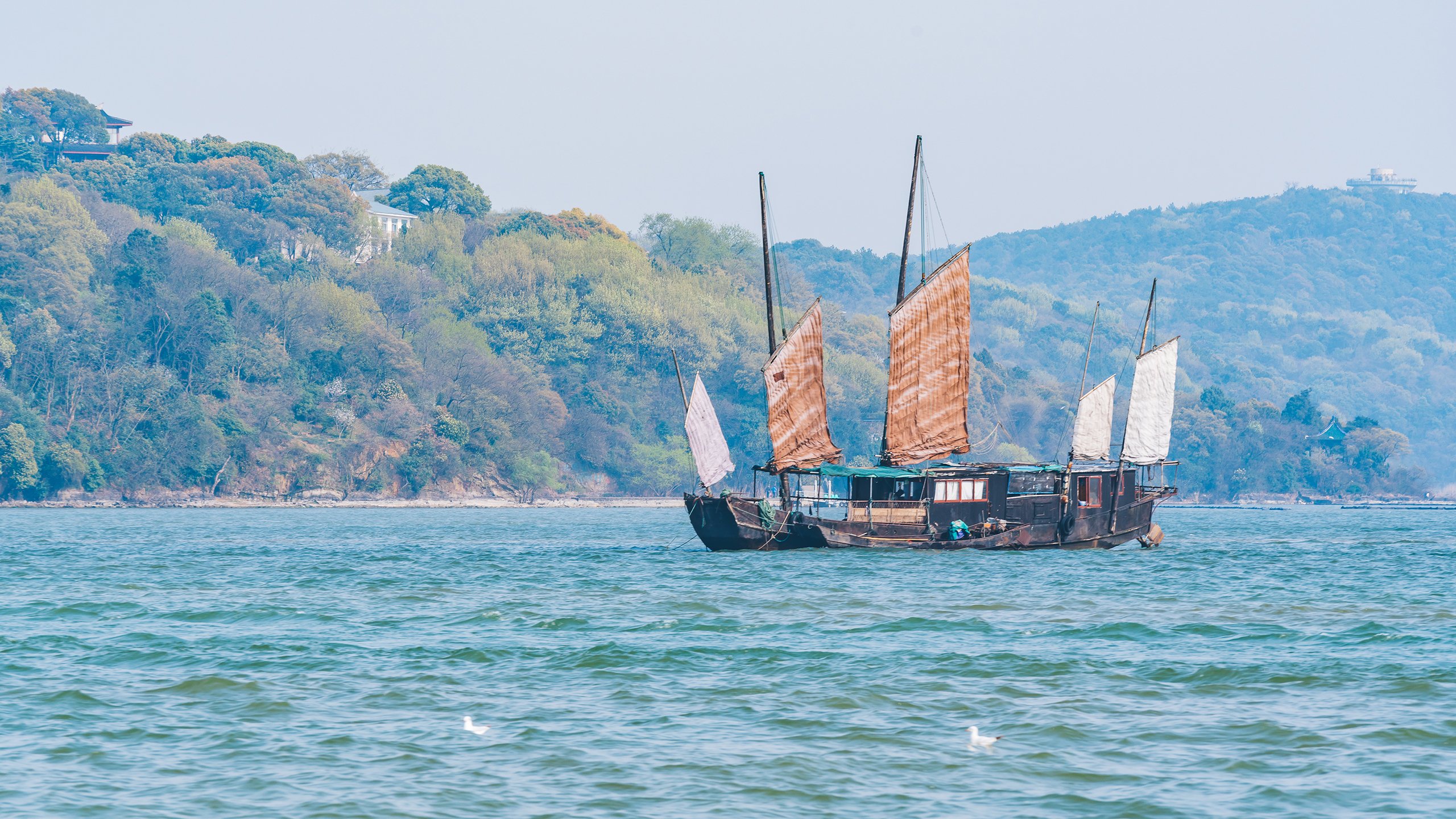 风景,自然风光,湖泊,太湖