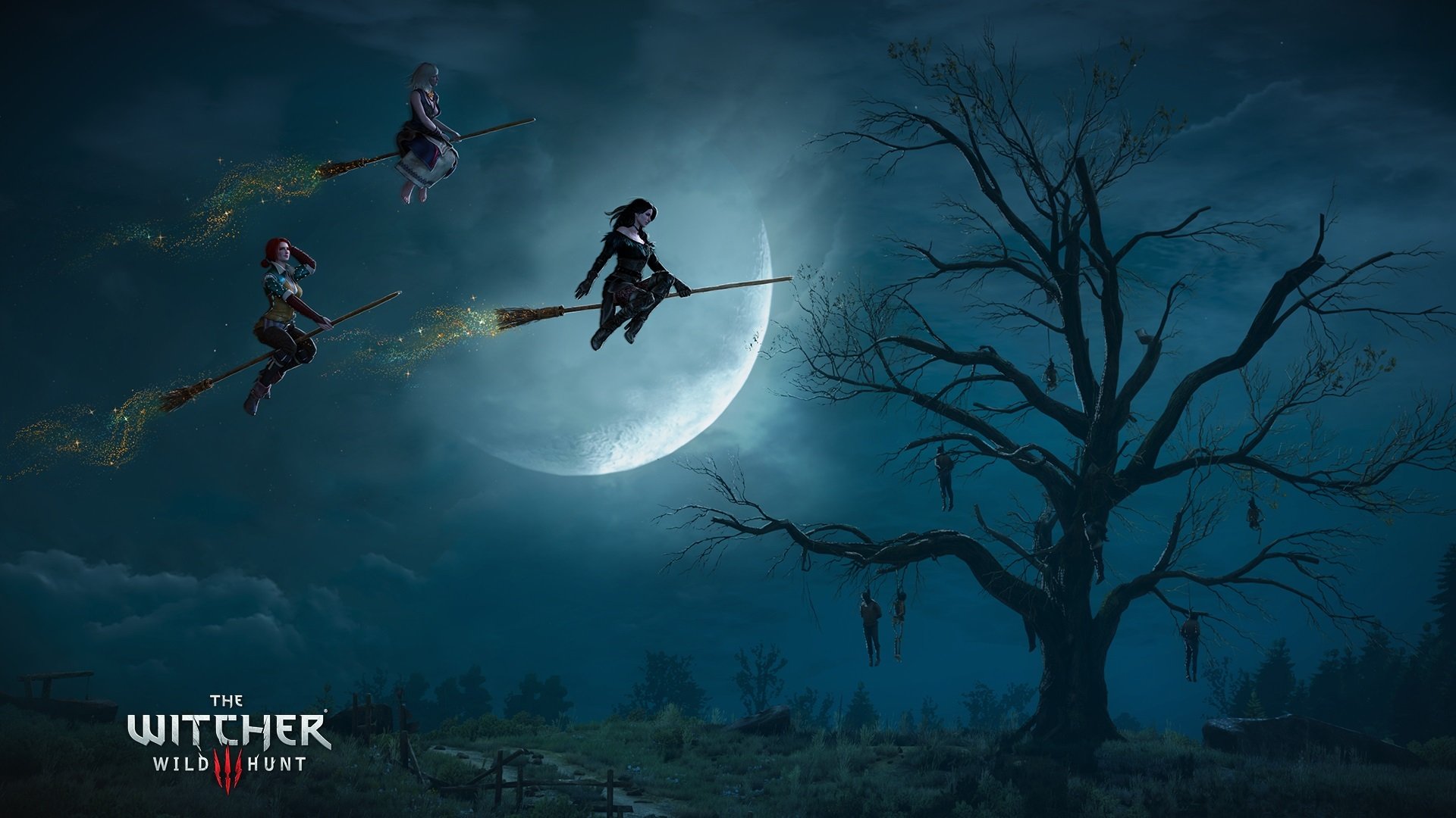 游戏,主机游戏,巫师