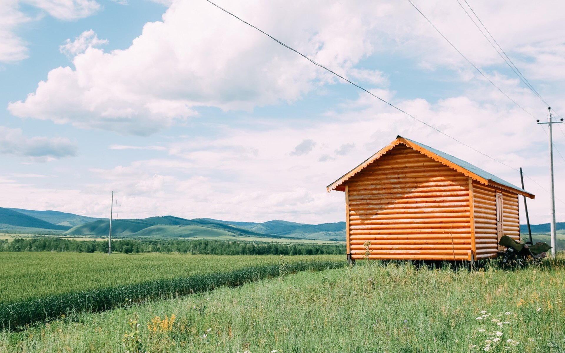 小清新,日系,草原