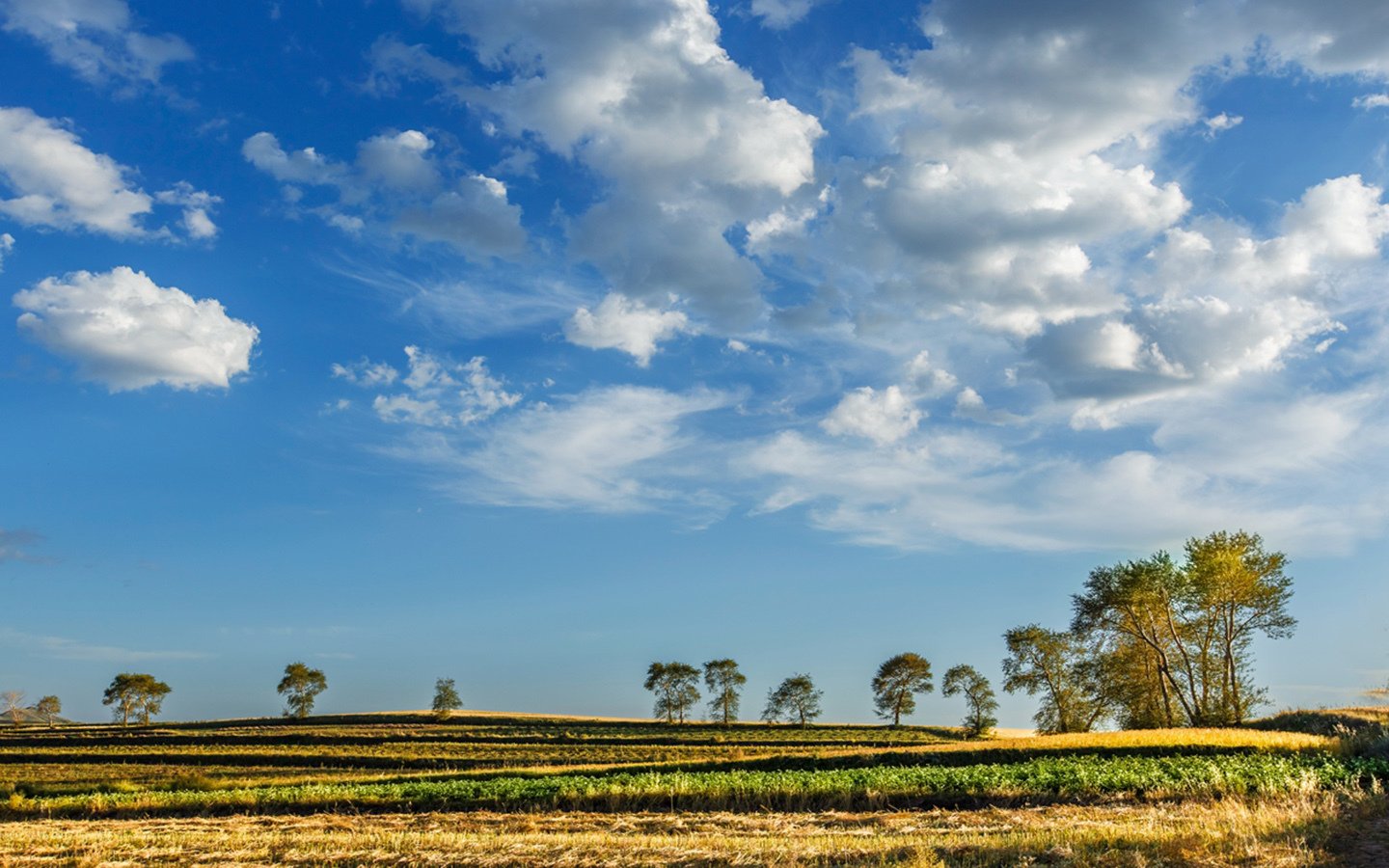 风景,草原,蓝天白云