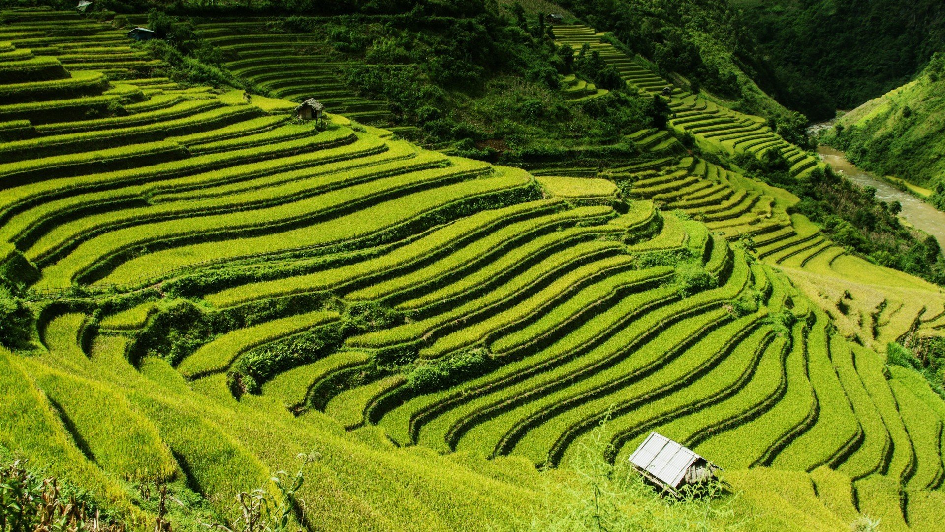 风景,自然风光,田野,梯田