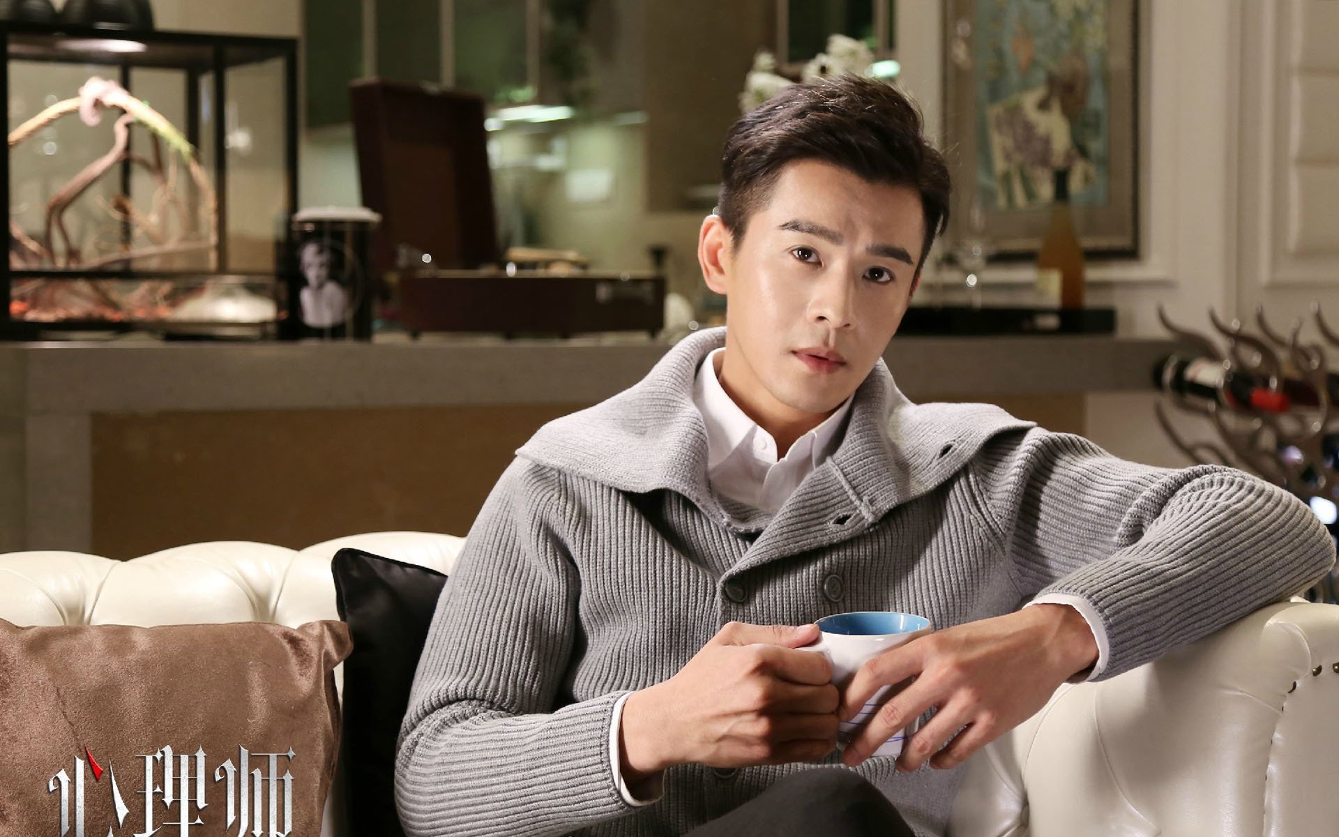 影视,电视剧,心理师,乔振宇