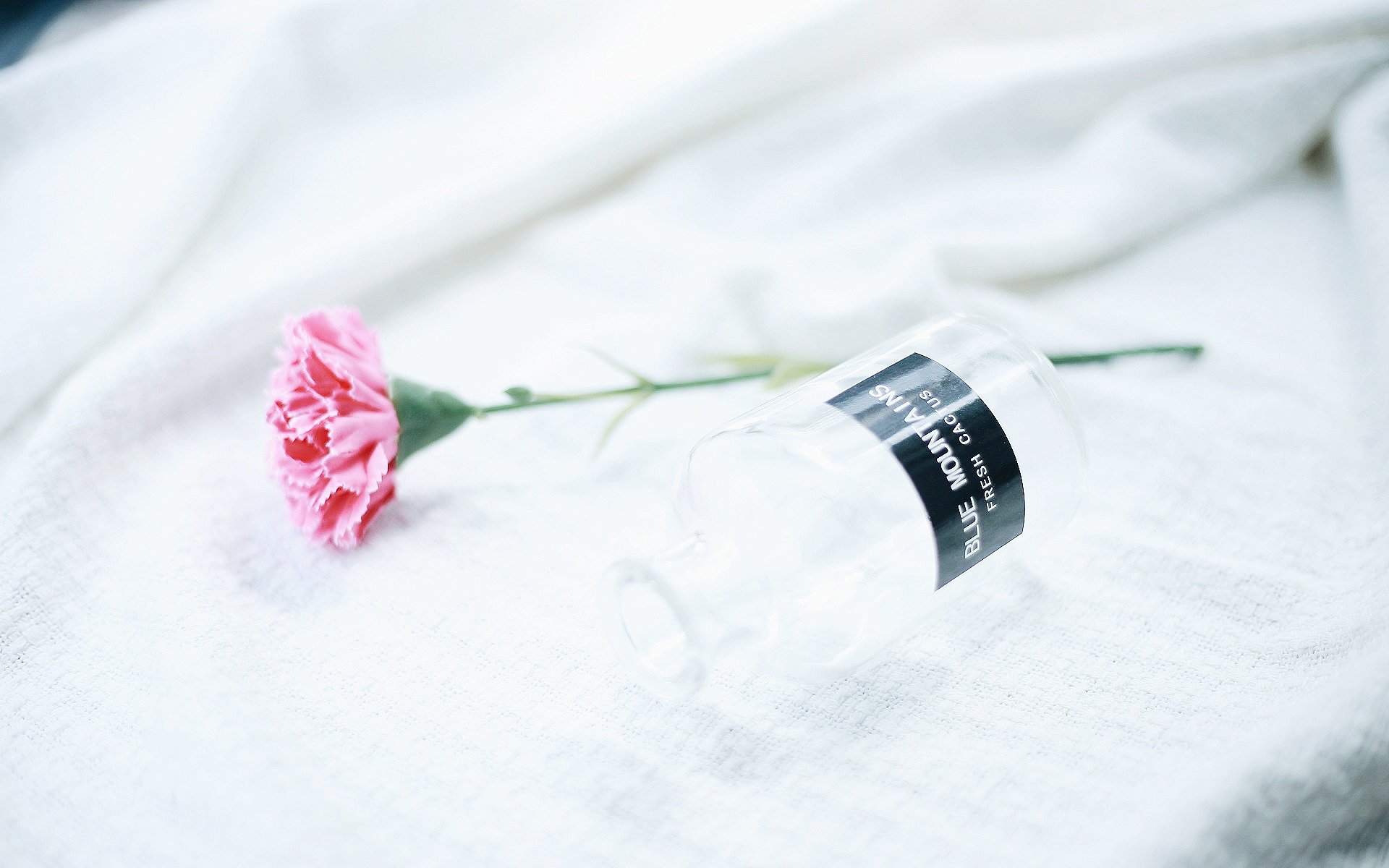 小清新,静物,家居,插花,花卉