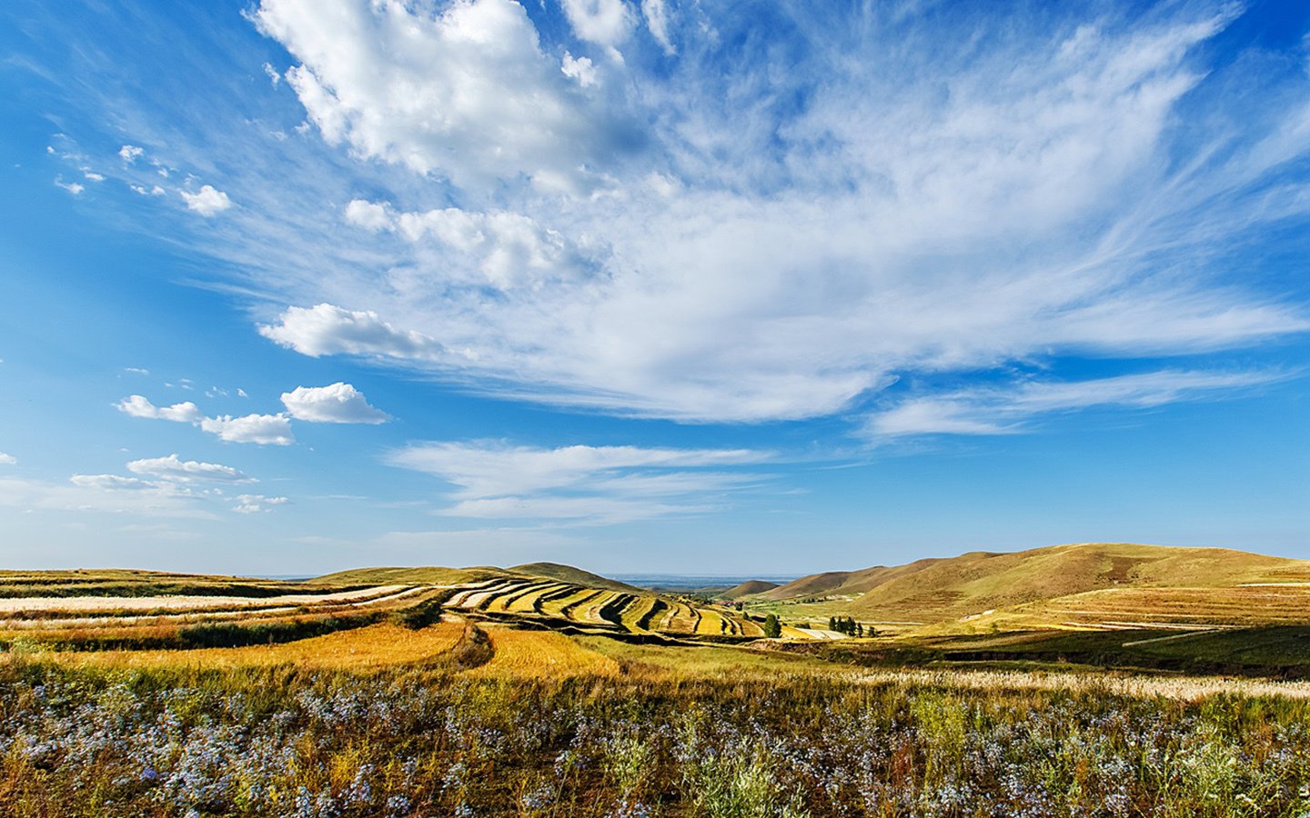 风景,草原,蓝天白云