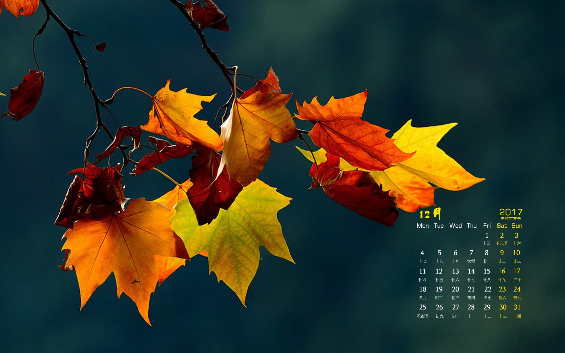 月历,枫叶,秋天