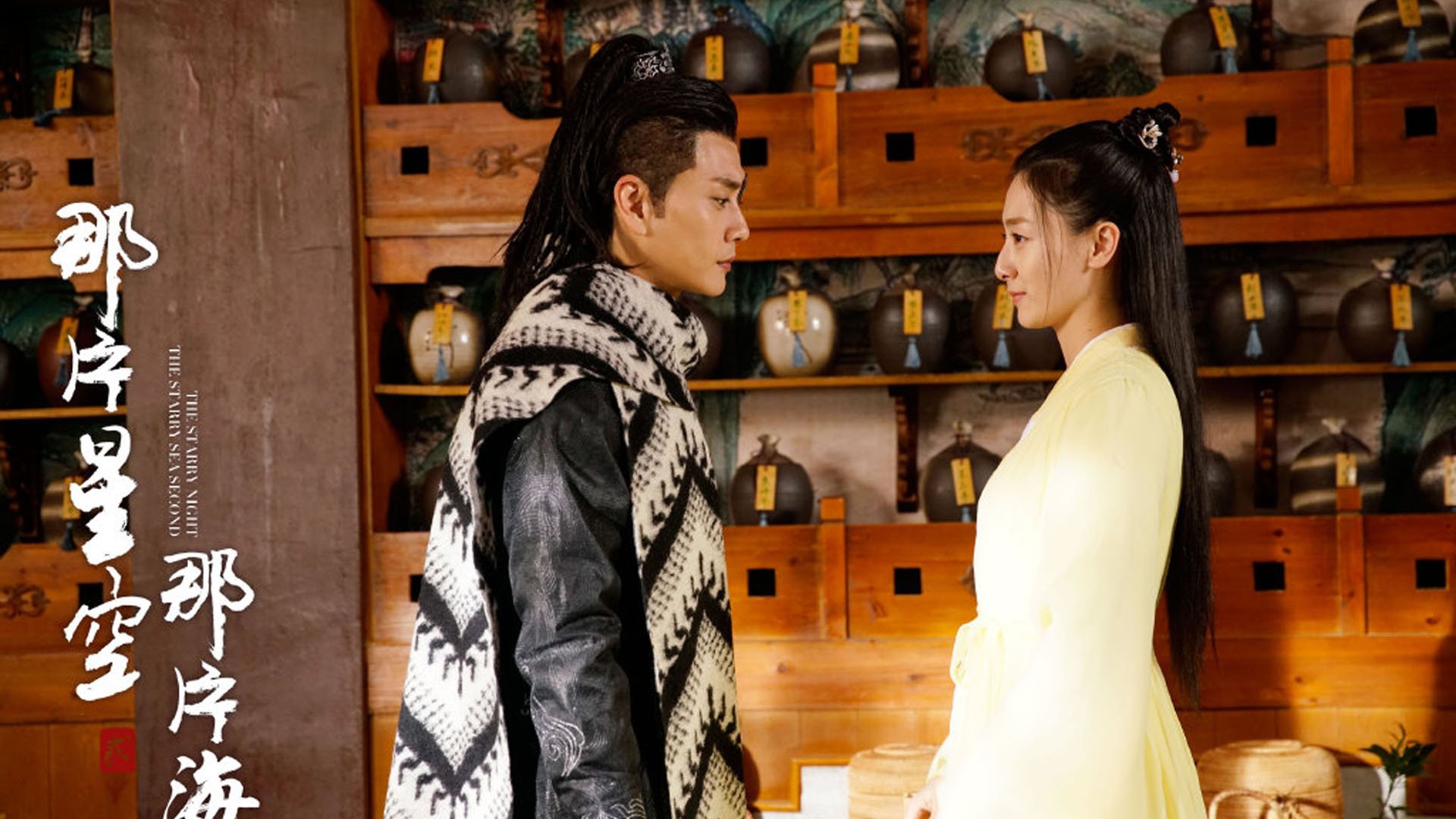 影视,电视剧,那片星空那片海2