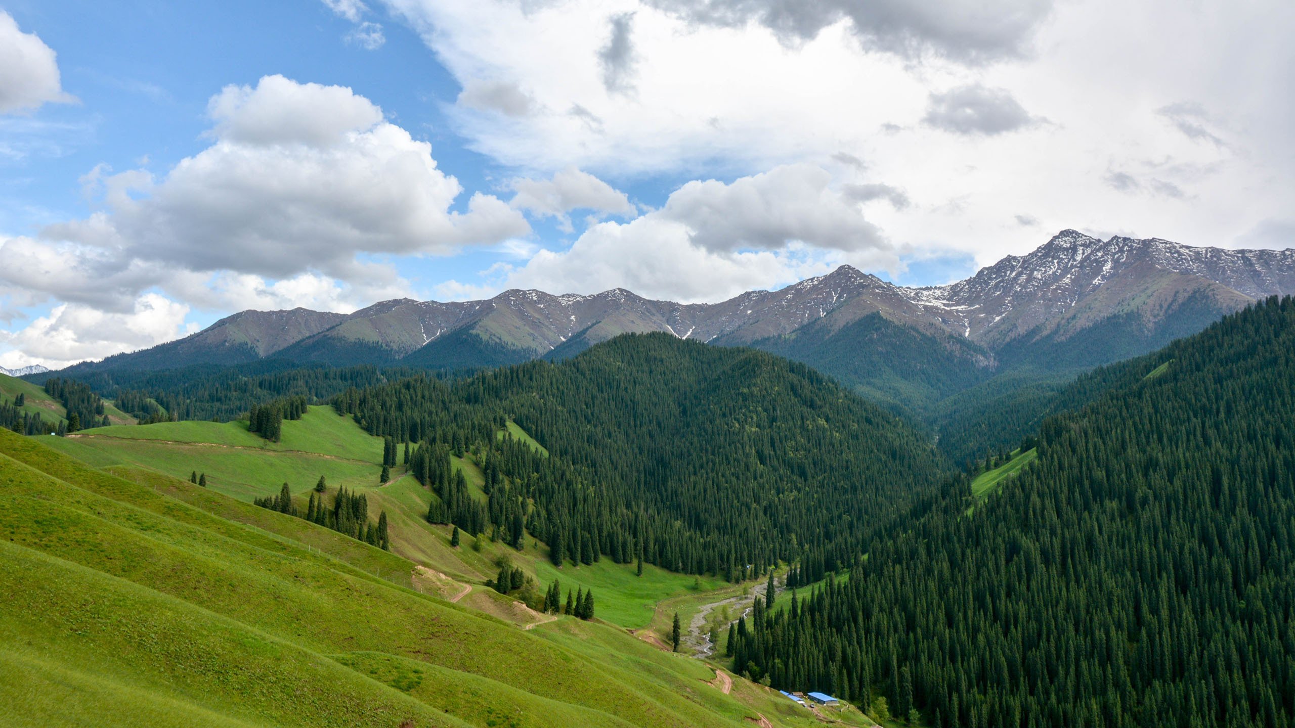 风景,自然风光,草地,新疆,草原,克尔斯陶牧区