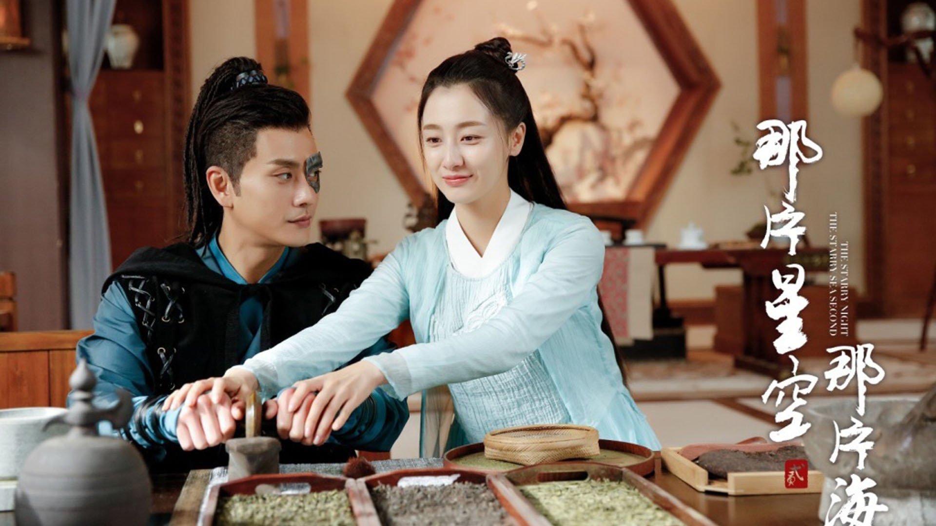 影视,电视剧,那片星空那片海2