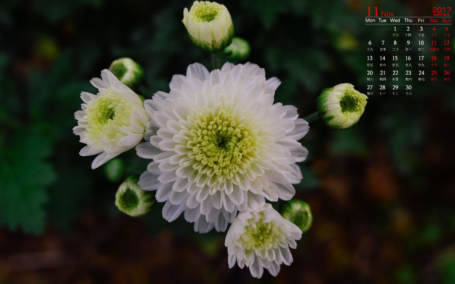 月历,2017年11月
