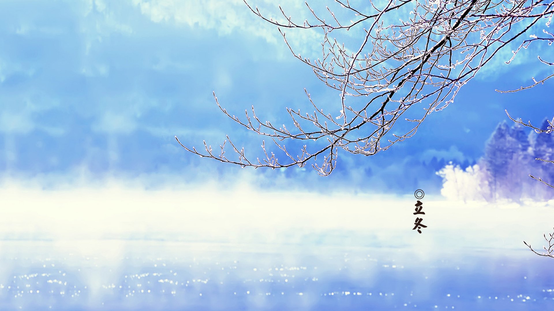 节气,二十四节气,立冬